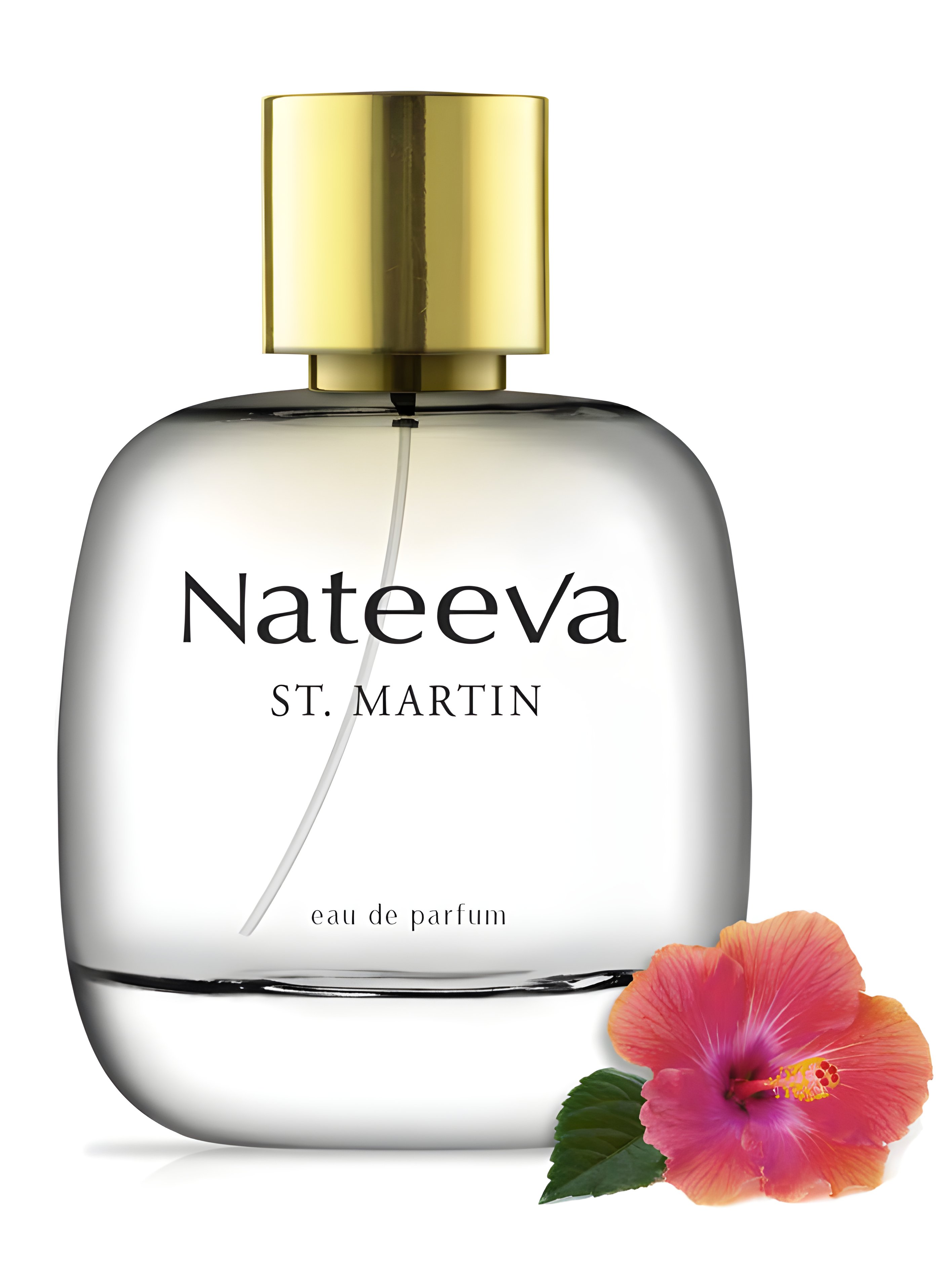 Picture of Saint Martin fragrance