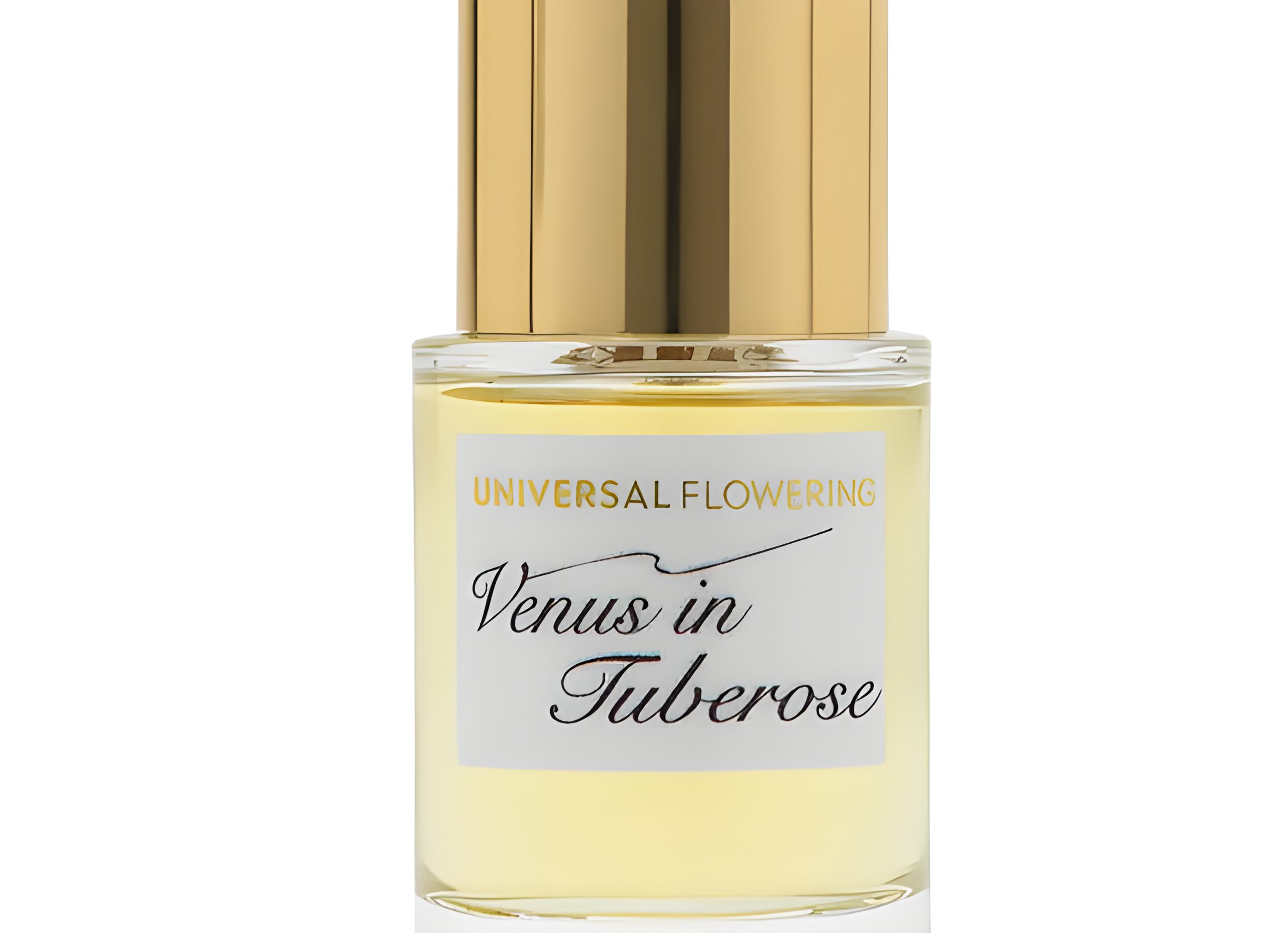 Picture of Venus in Tuberose fragrance