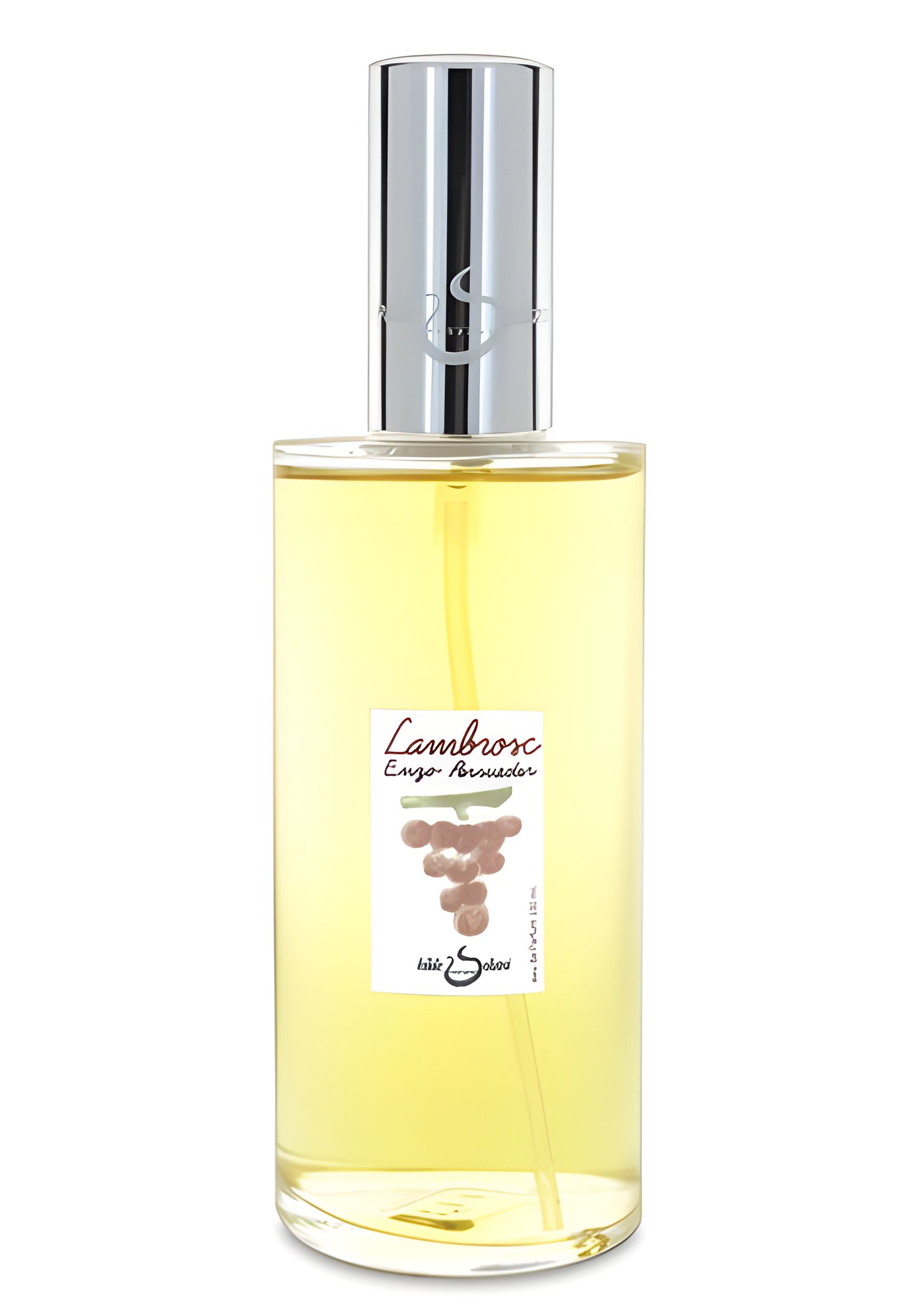 Picture of Lambrosc fragrance