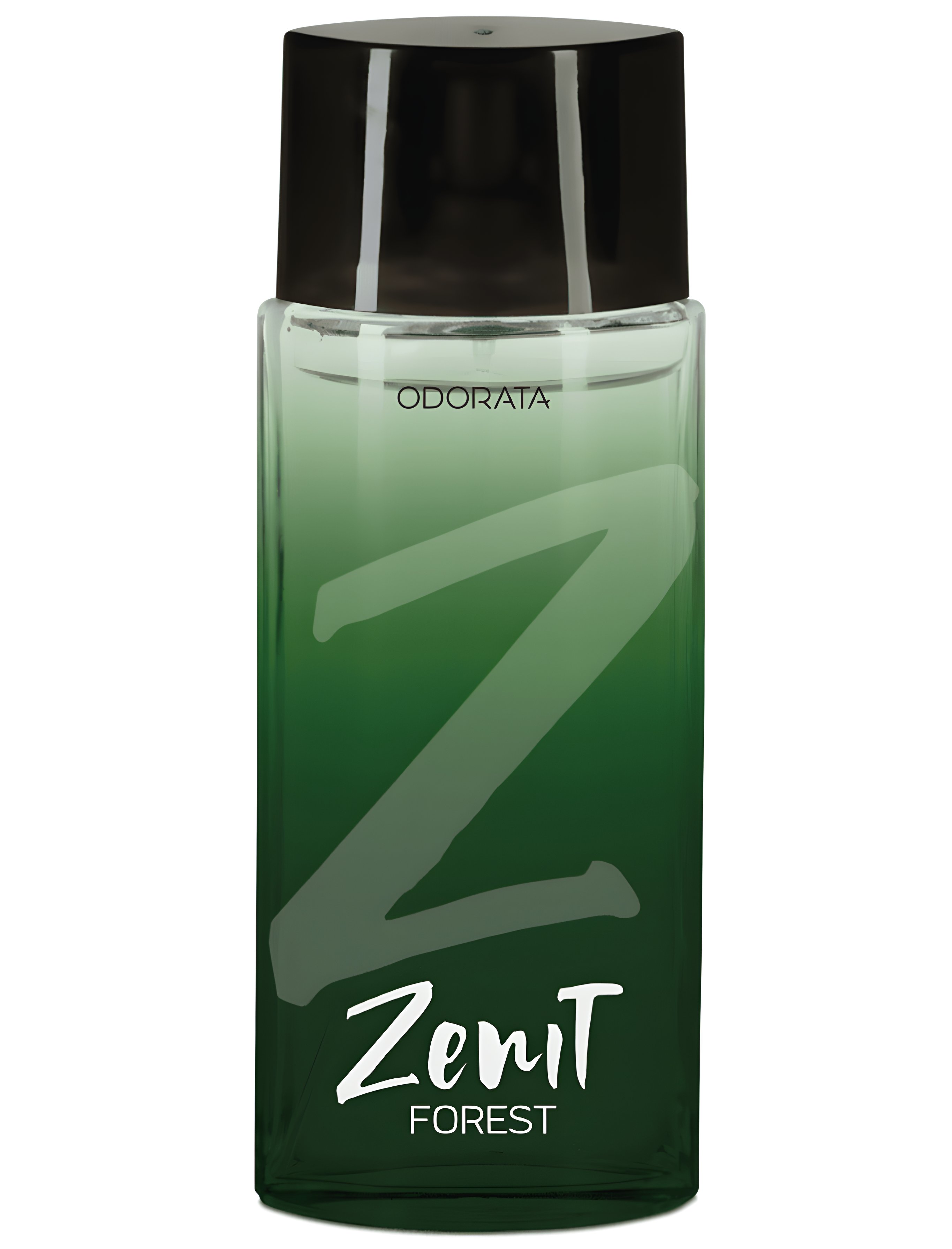 Picture of Zenit Forest fragrance