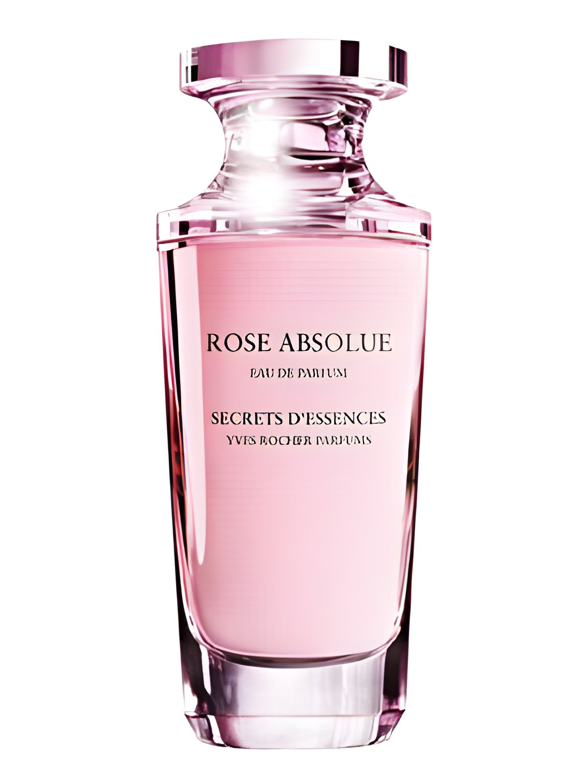 Picture of Rose Absolue fragrance