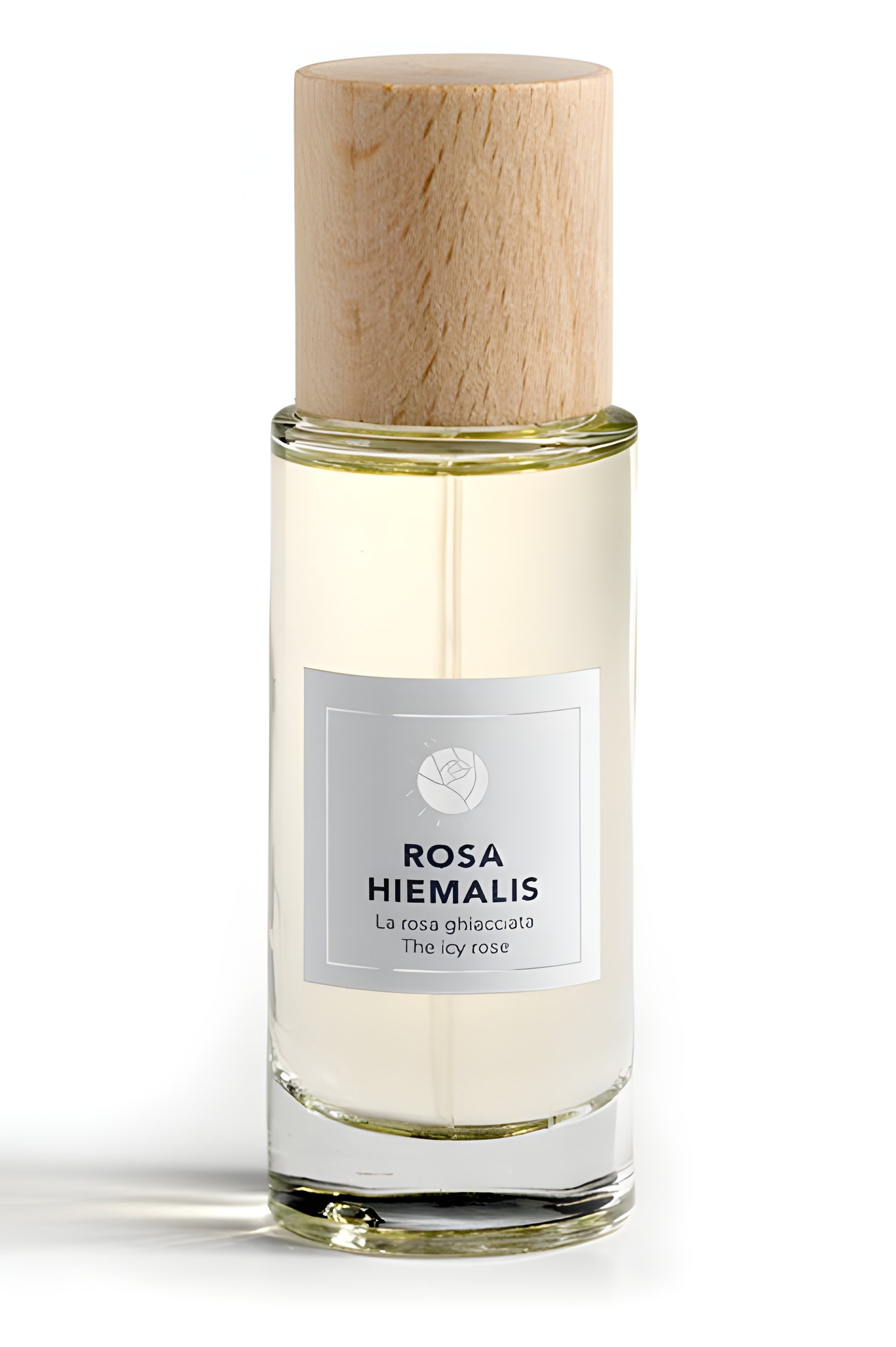 Picture of Rosa Hiemalis fragrance