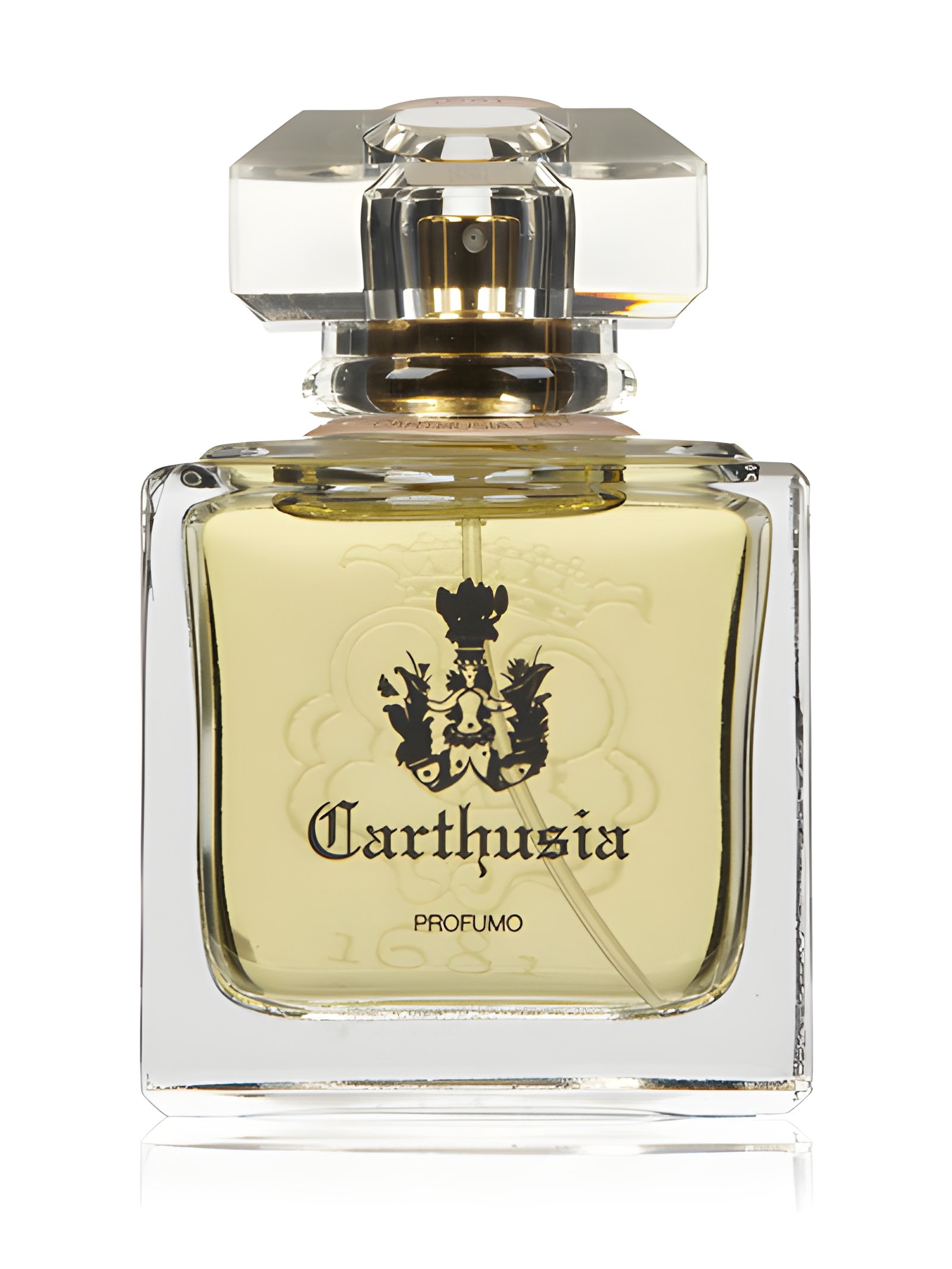 Picture of Carthusia Lady fragrance