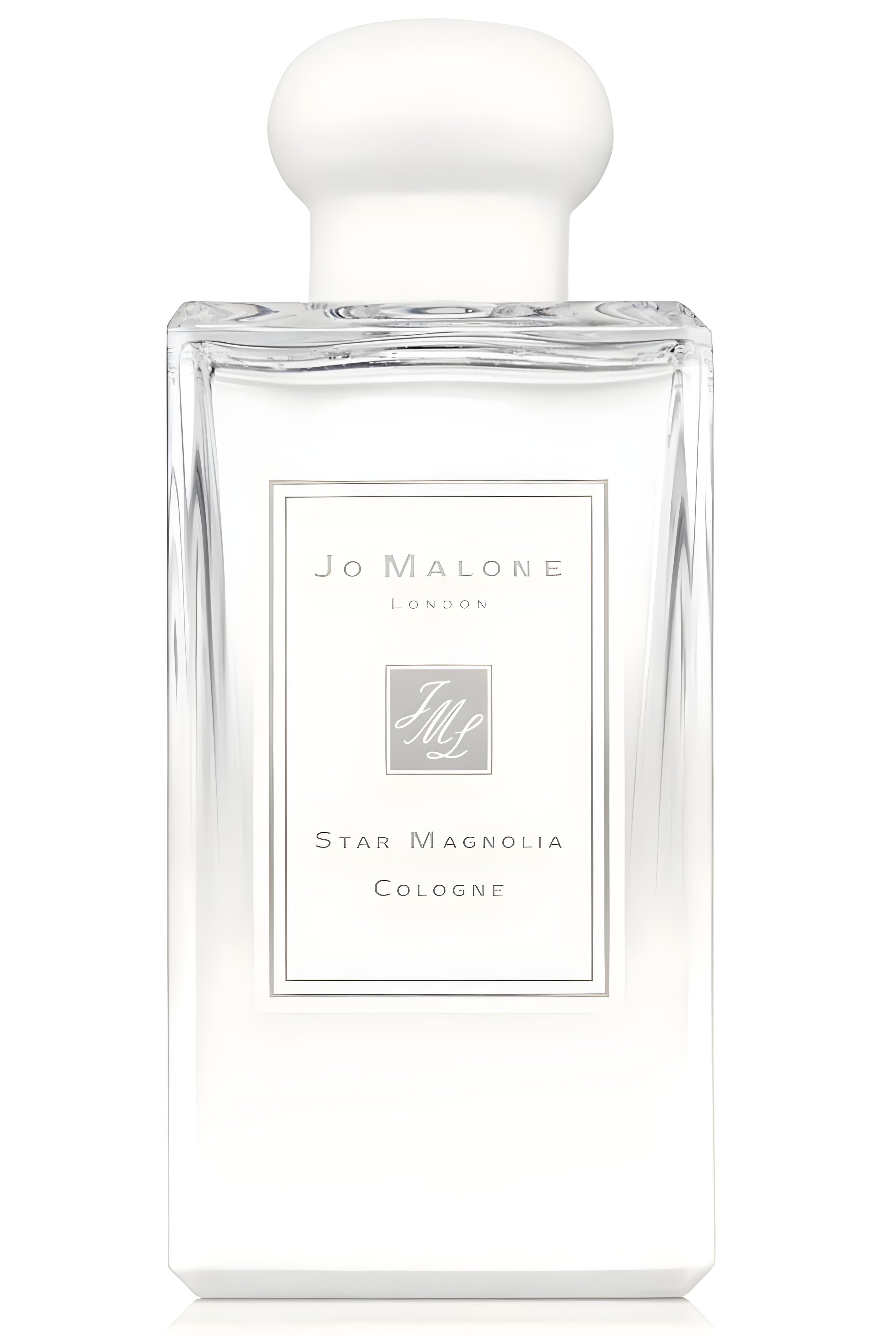 Picture of Star Magnolia fragrance