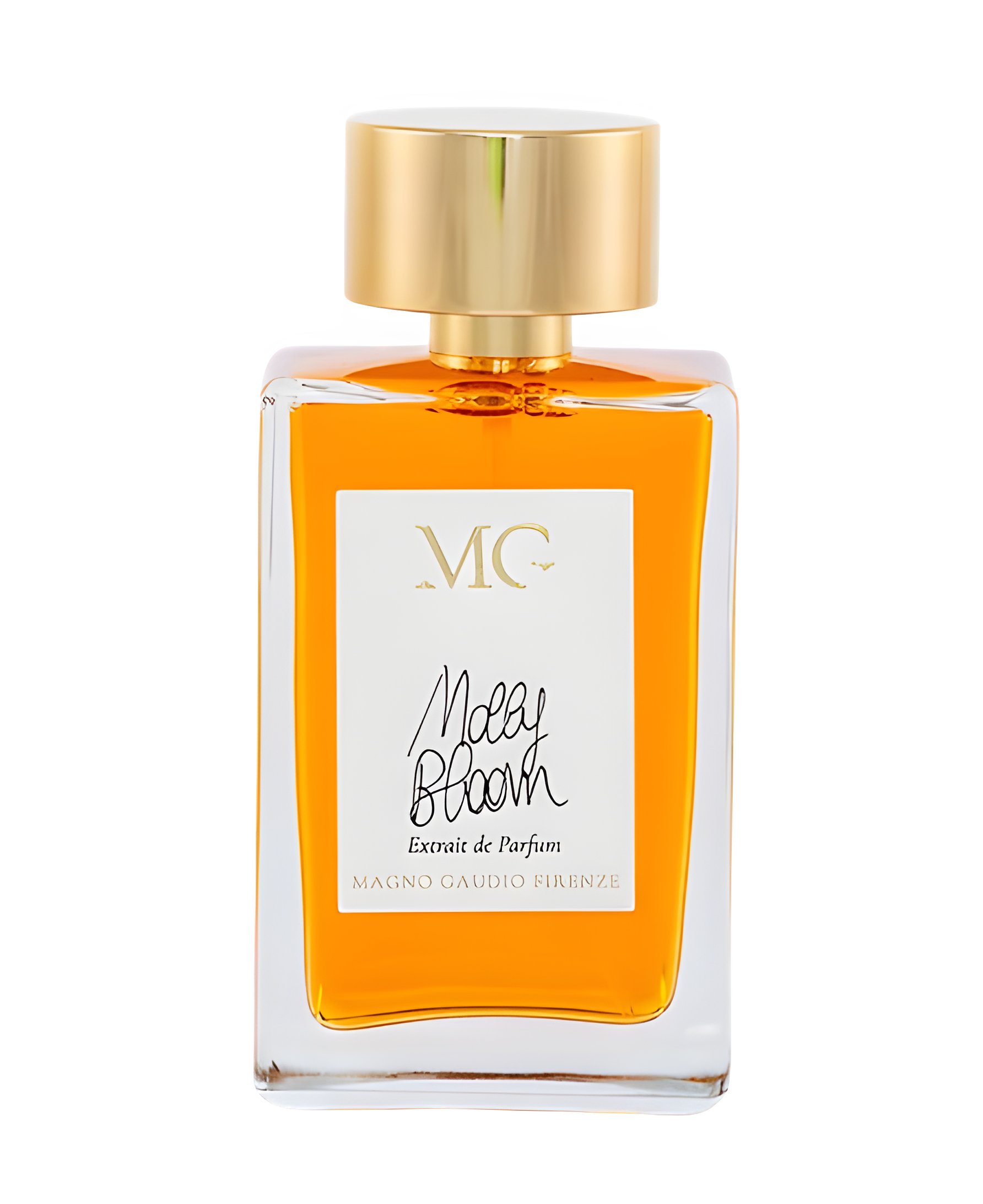 Picture of Molly Bloom fragrance