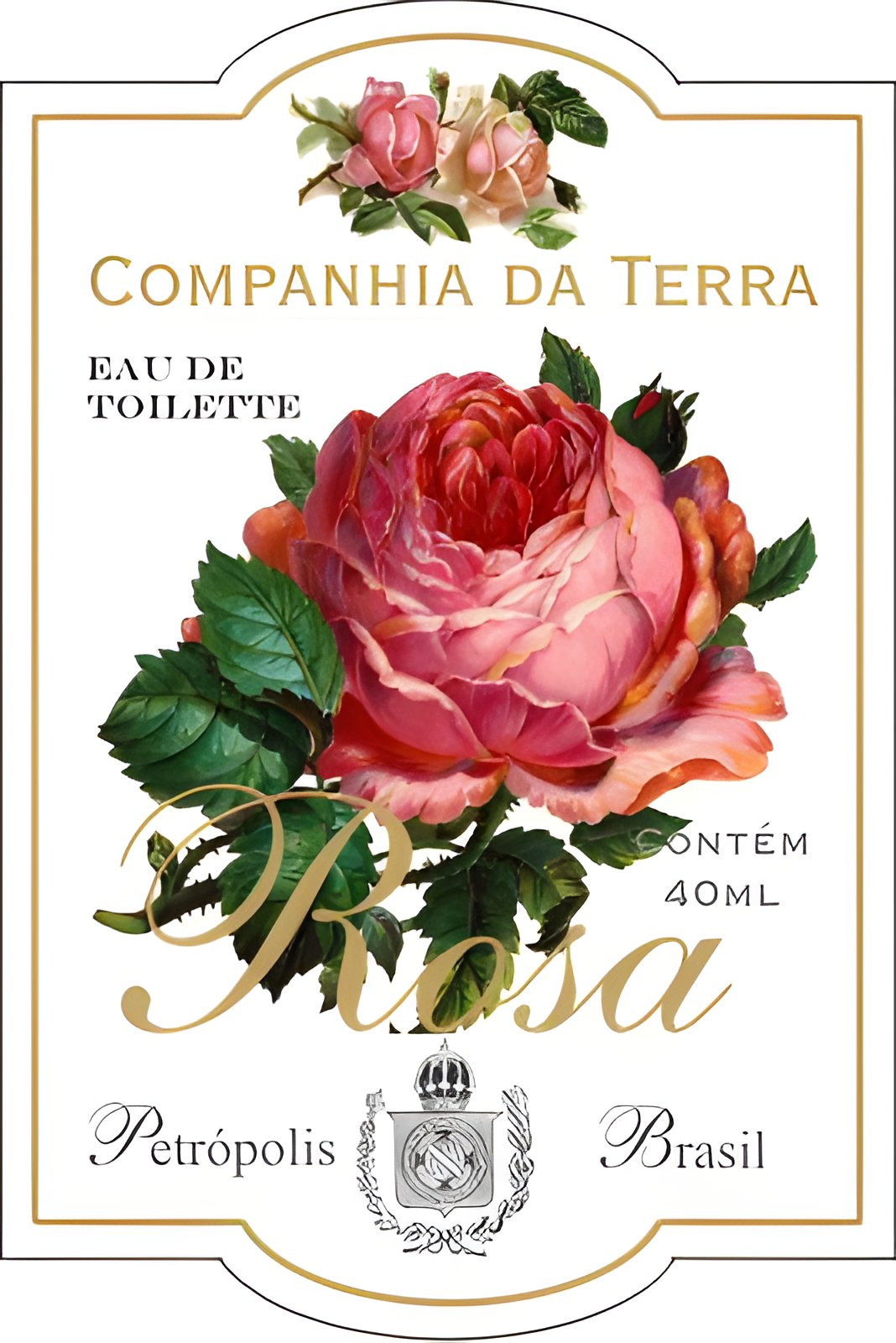 Picture of Rosa fragrance