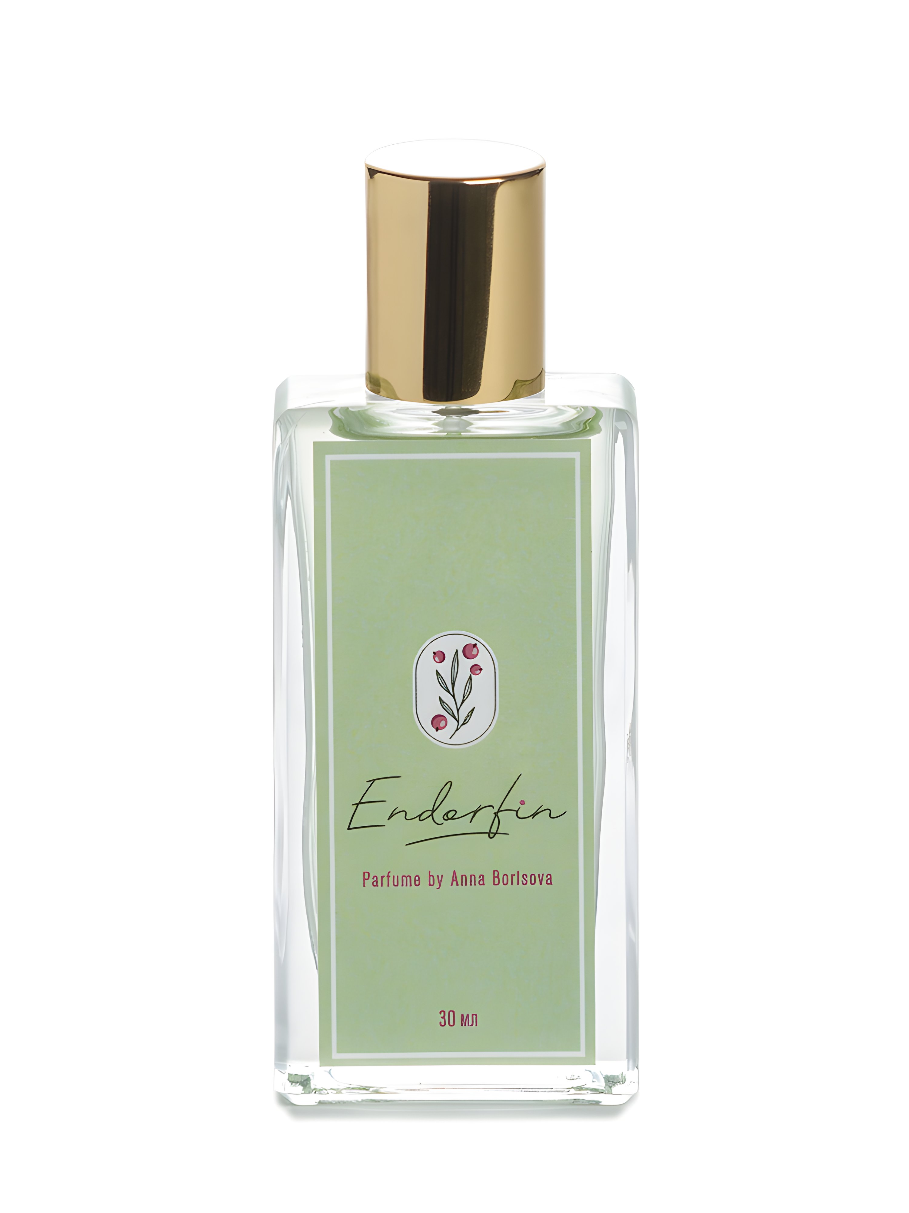 Picture of Endorfin fragrance