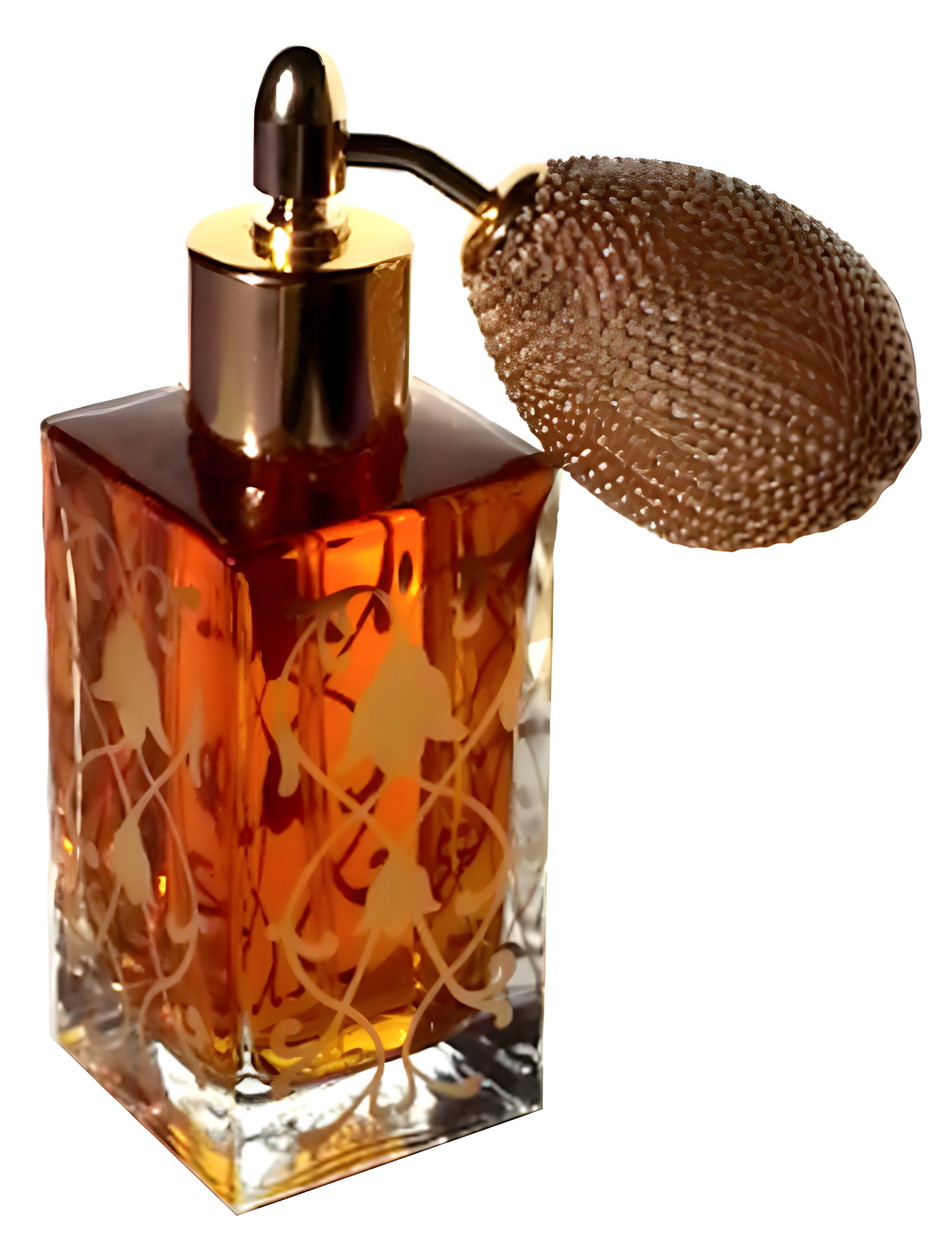 Picture of Maroquin fragrance