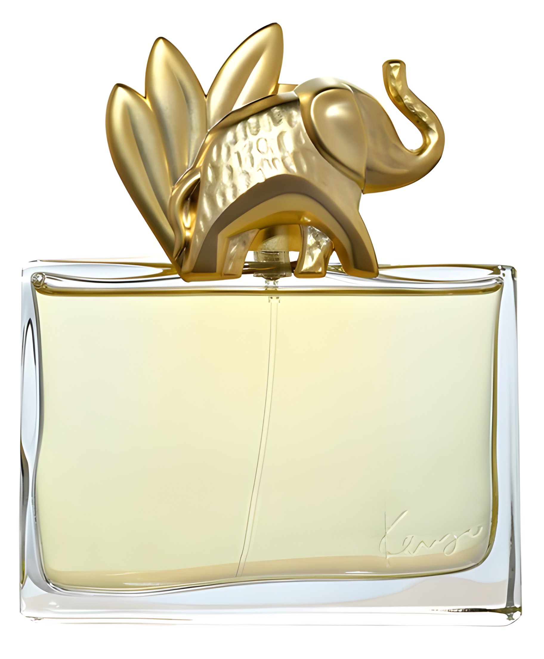 Picture of Kenzo Jungle L'Elephant fragrance