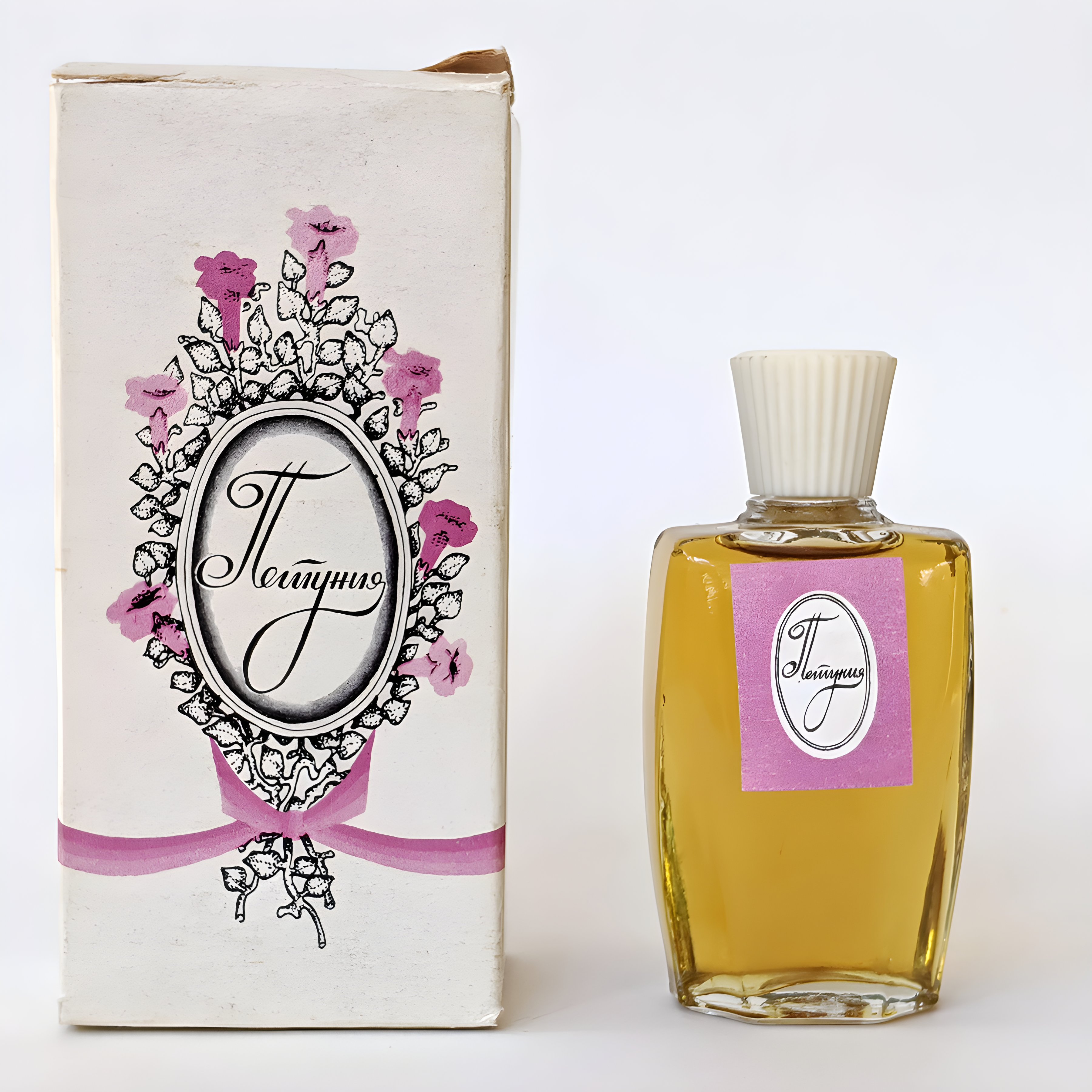 Picture of Петуния - Petunia fragrance