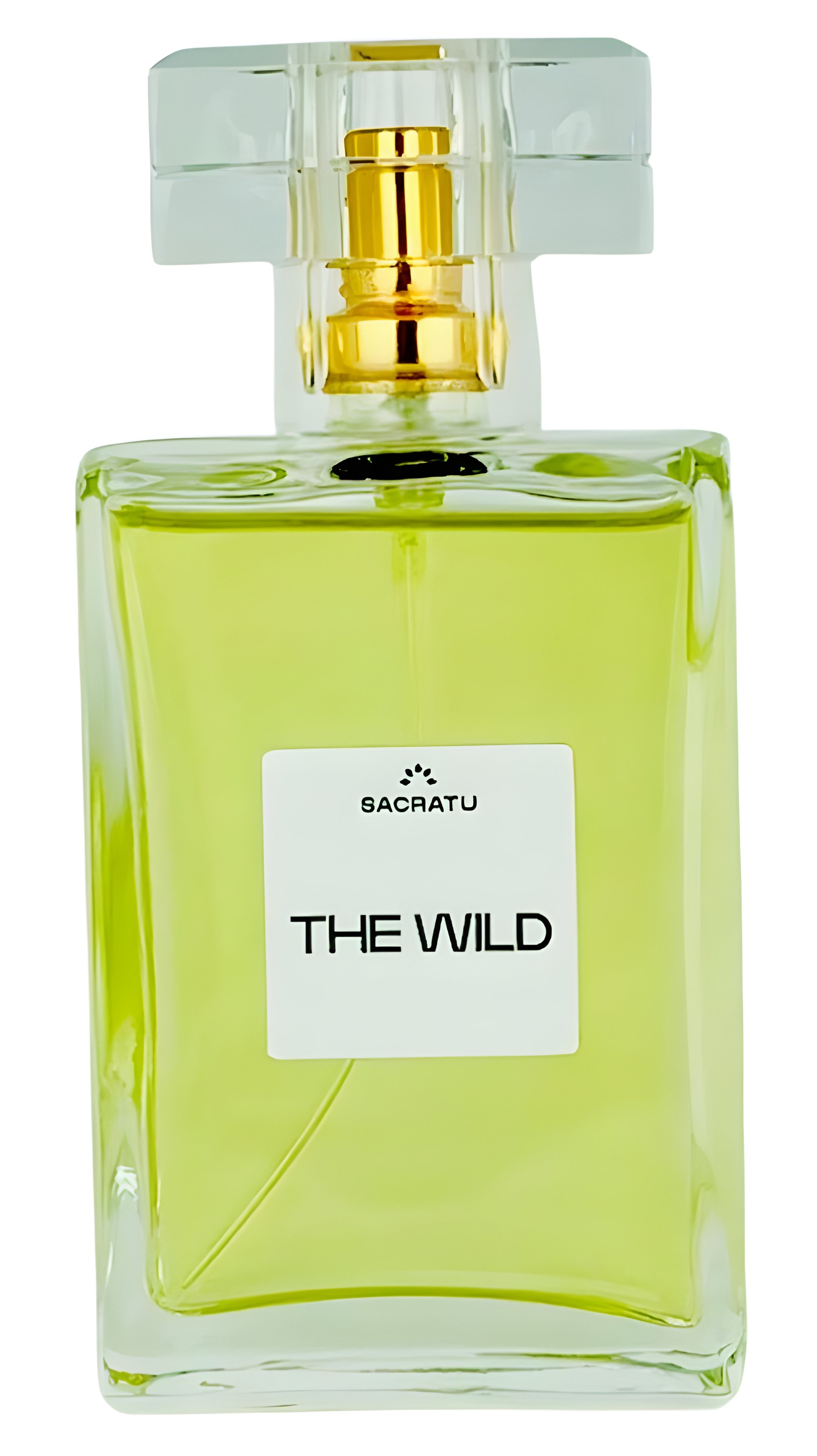 Picture of The Wild fragrance