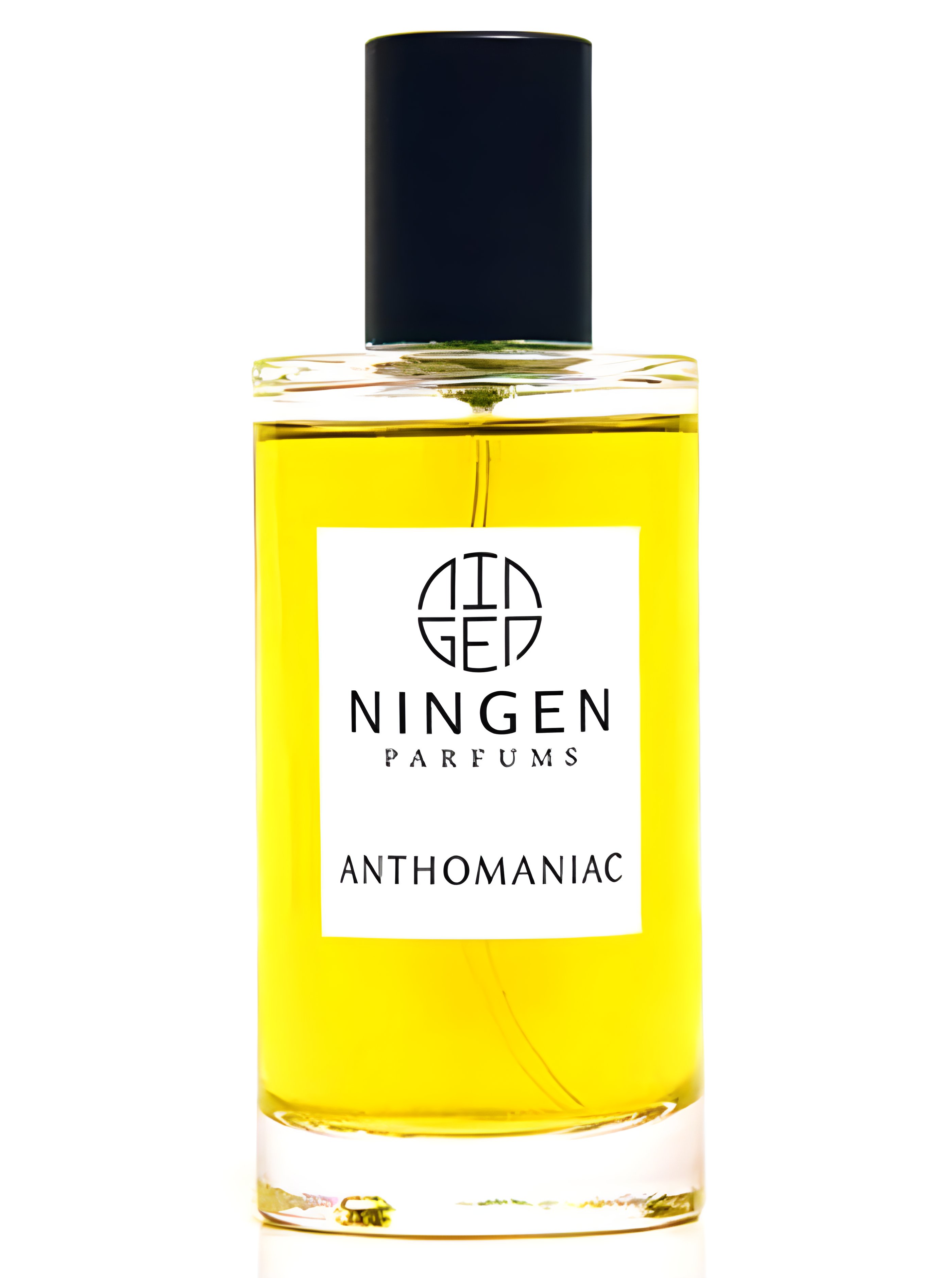 Picture of Anthomaniac fragrance