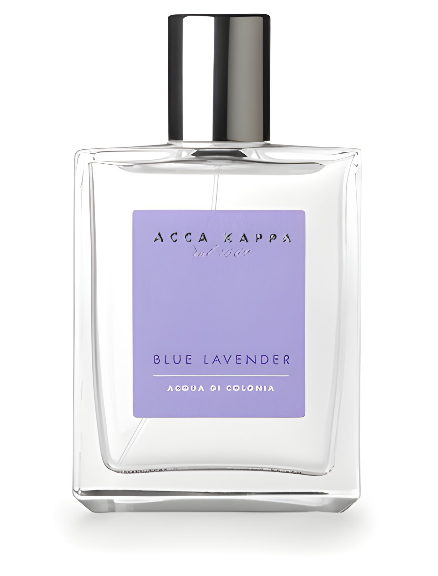 Picture of Blue Lavender fragrance