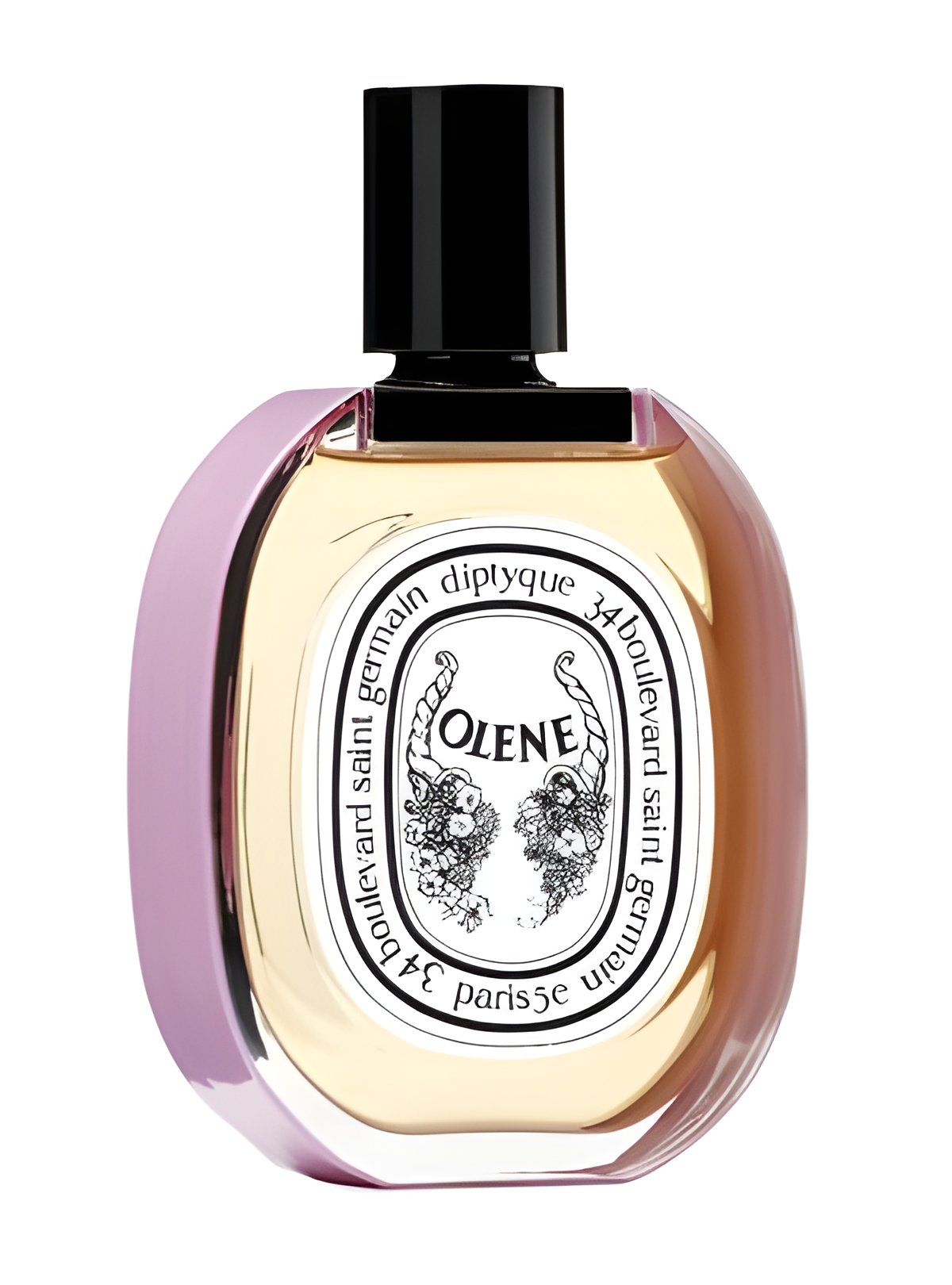 Picture of Impossible Bouquet Olene fragrance