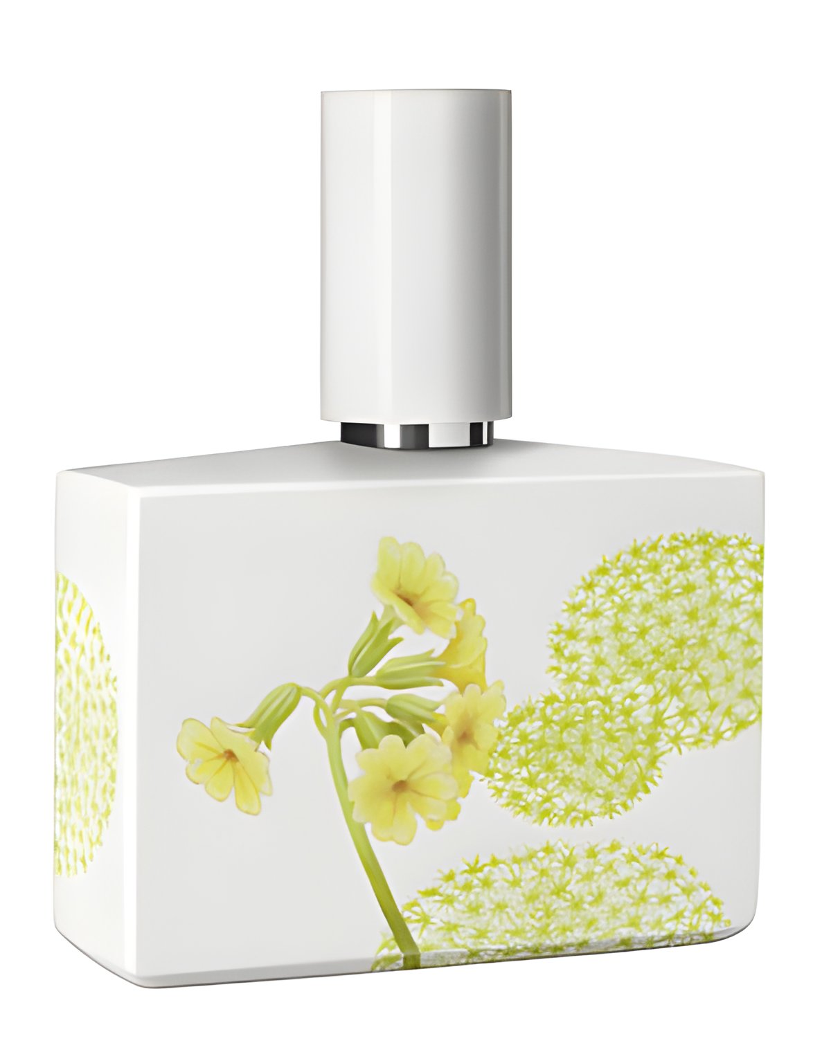 Picture of Bosque Limited Porcelain Edition fragrance