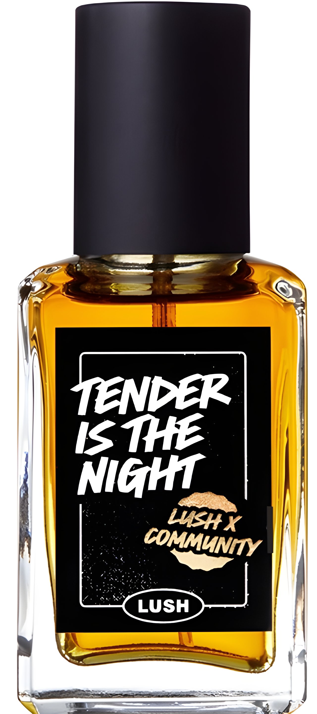 Picture of Tender Is the Night fragrance