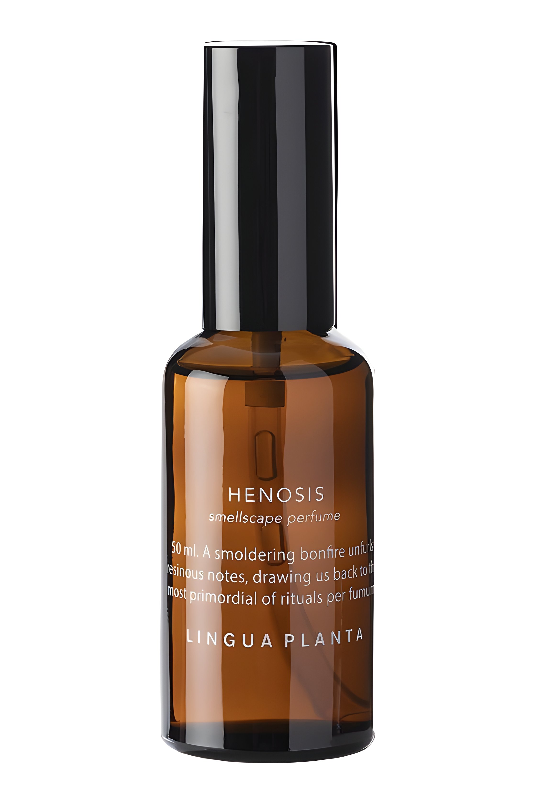 Picture of Henosis fragrance