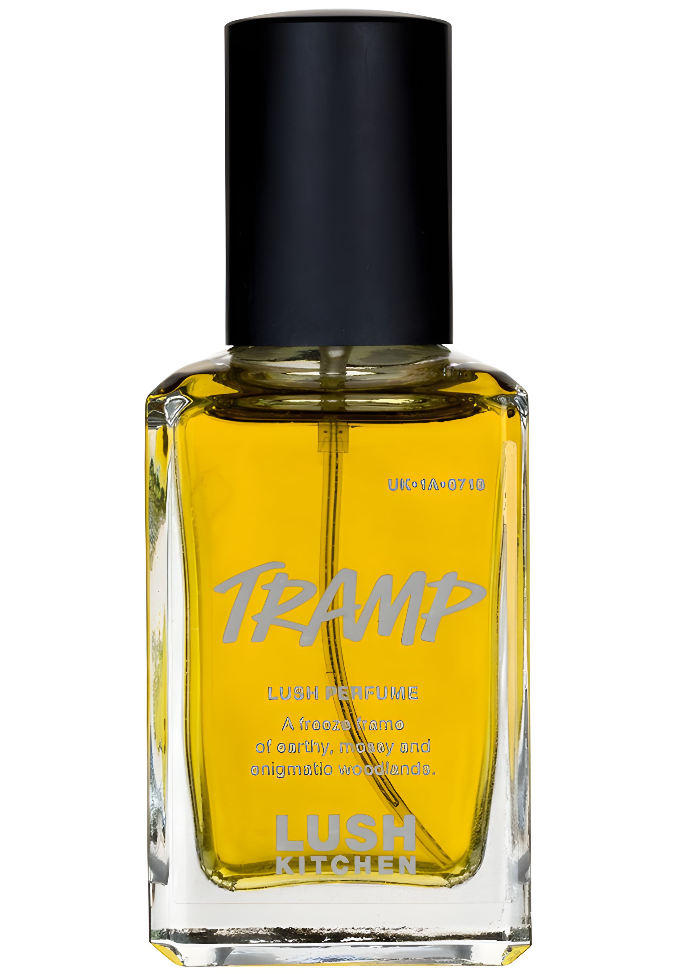 Picture of Tramp fragrance