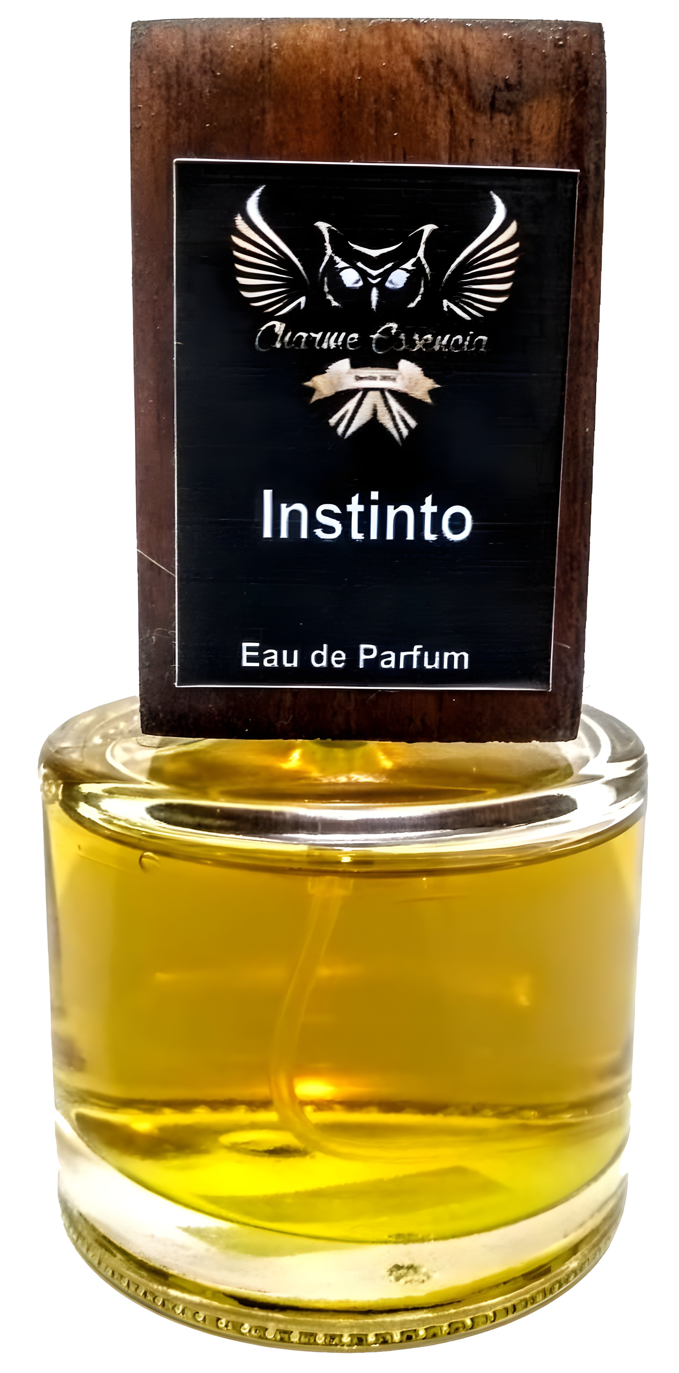 Picture of Instinto fragrance