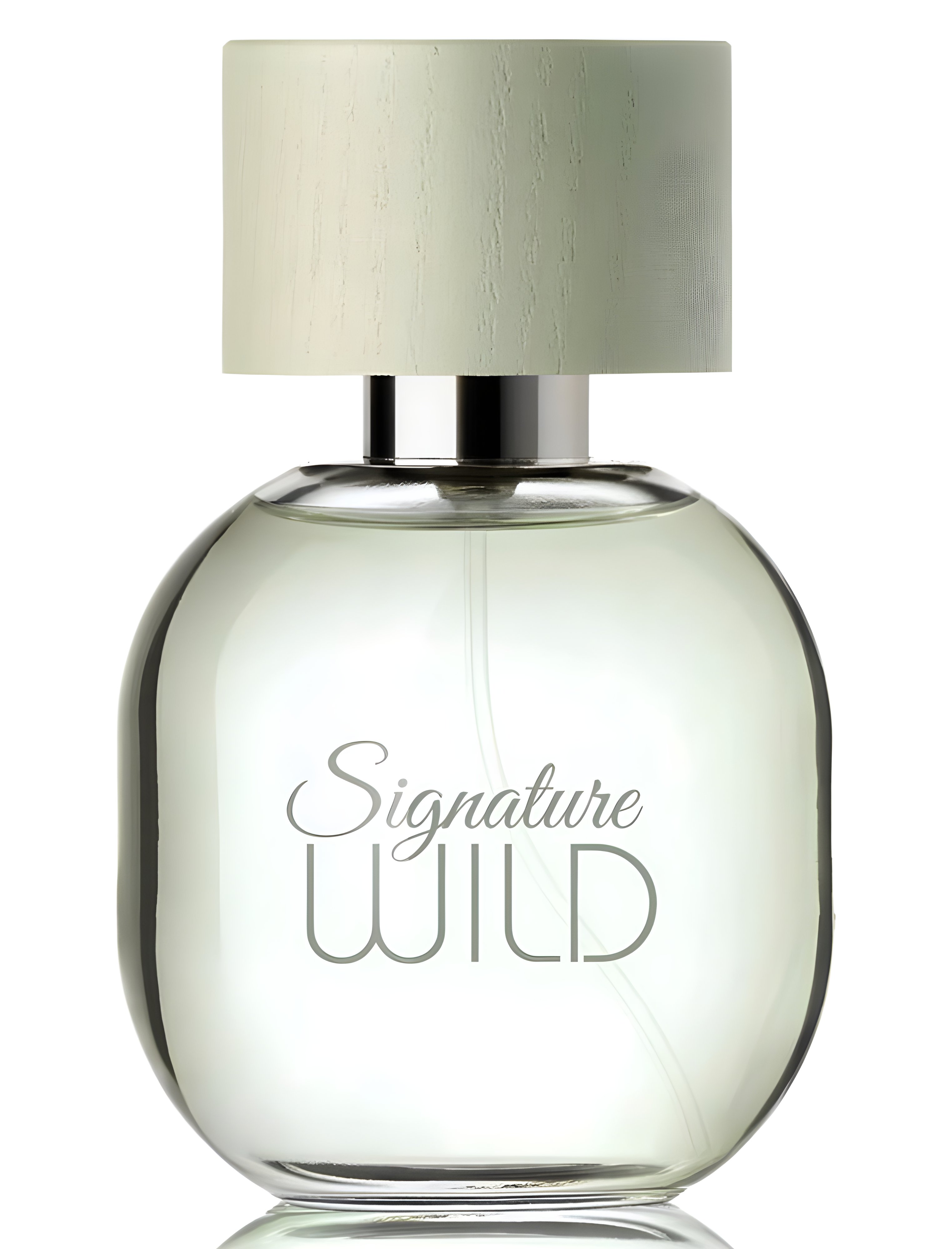 Picture of Signature Wild fragrance