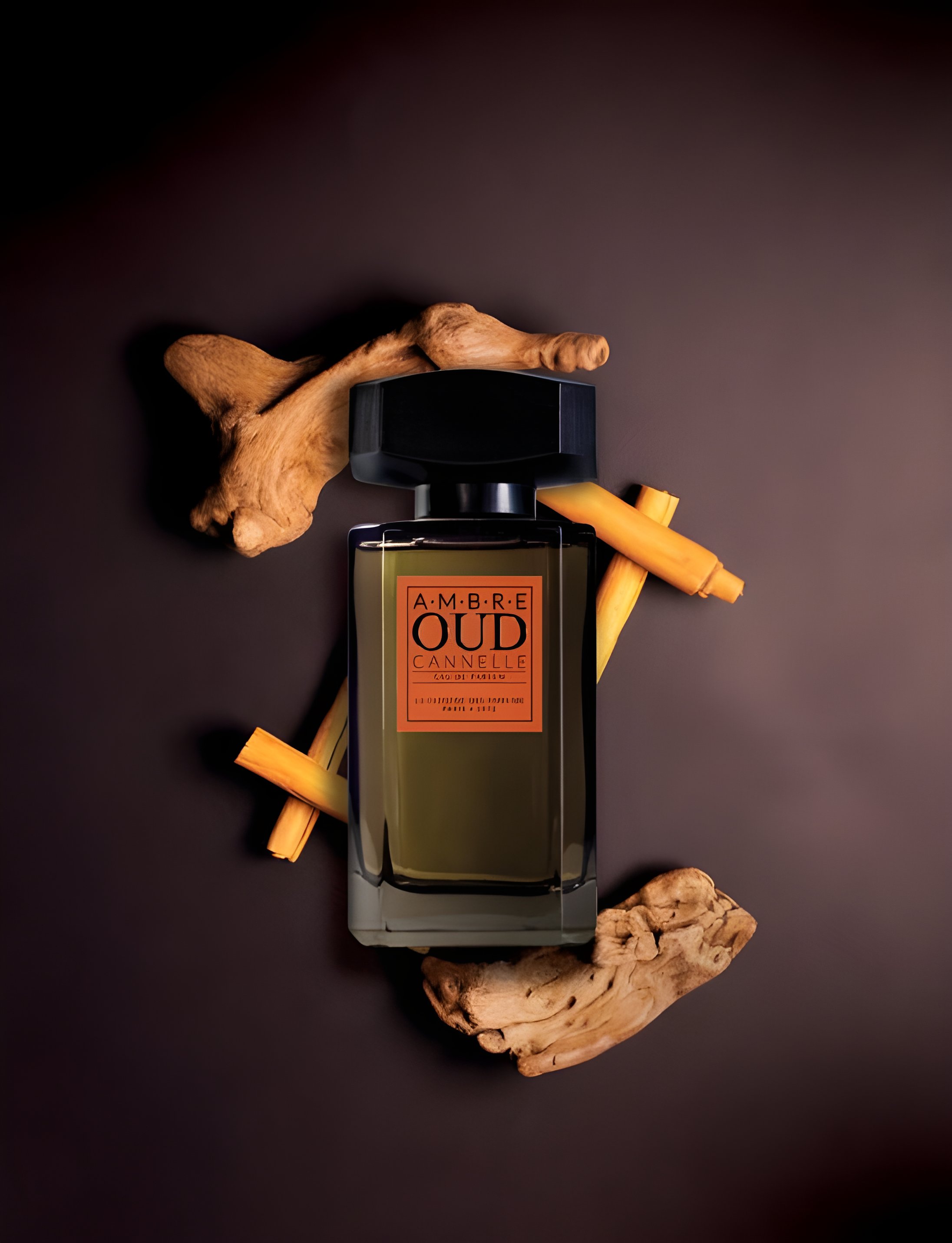 Picture of Oud Cannelle fragrance