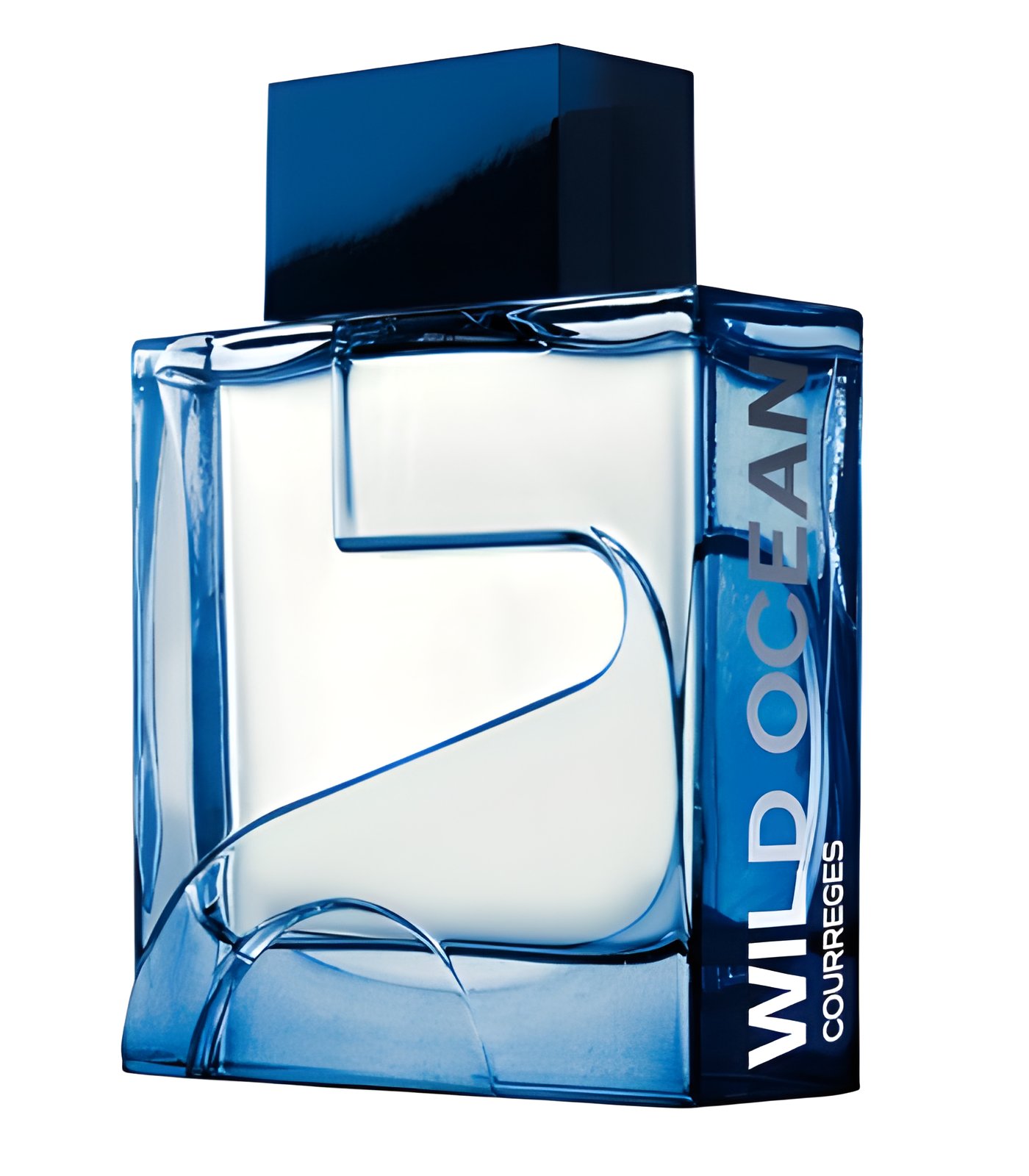 Picture of Wild Ocean fragrance