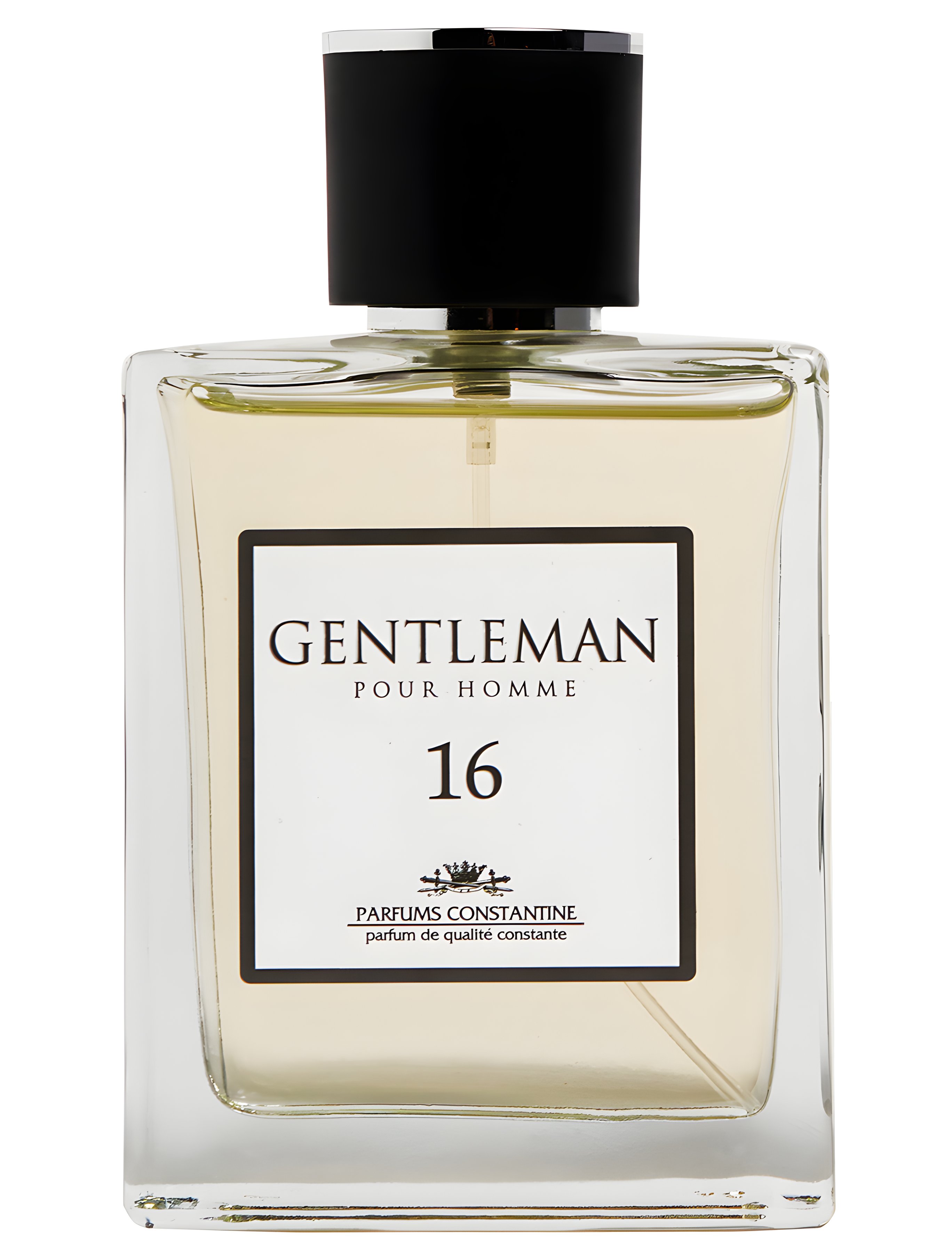 Picture of Gentleman N. 16 fragrance