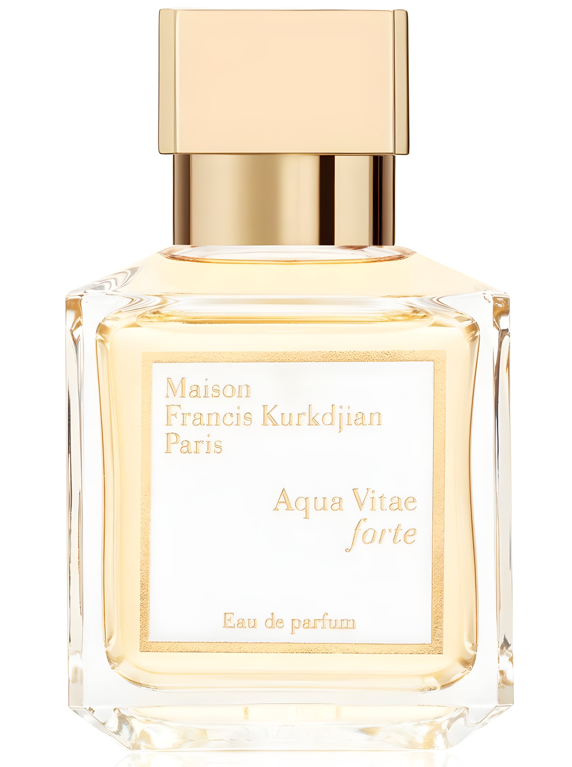 Picture of Aqua Vitae Forte fragrance