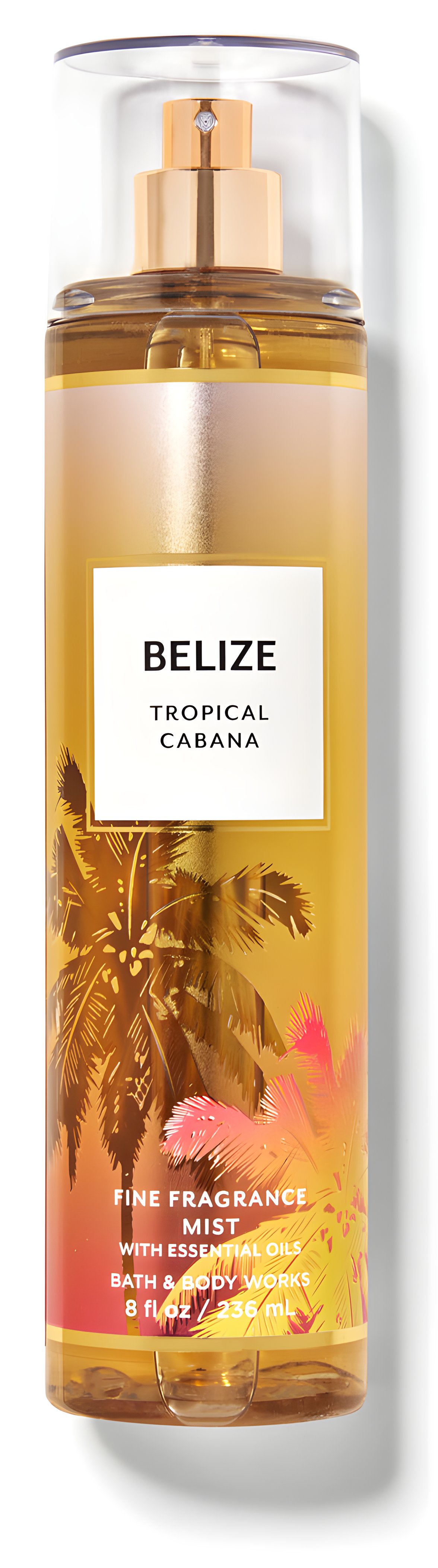 Picture of Belize Tropical Cabana fragrance