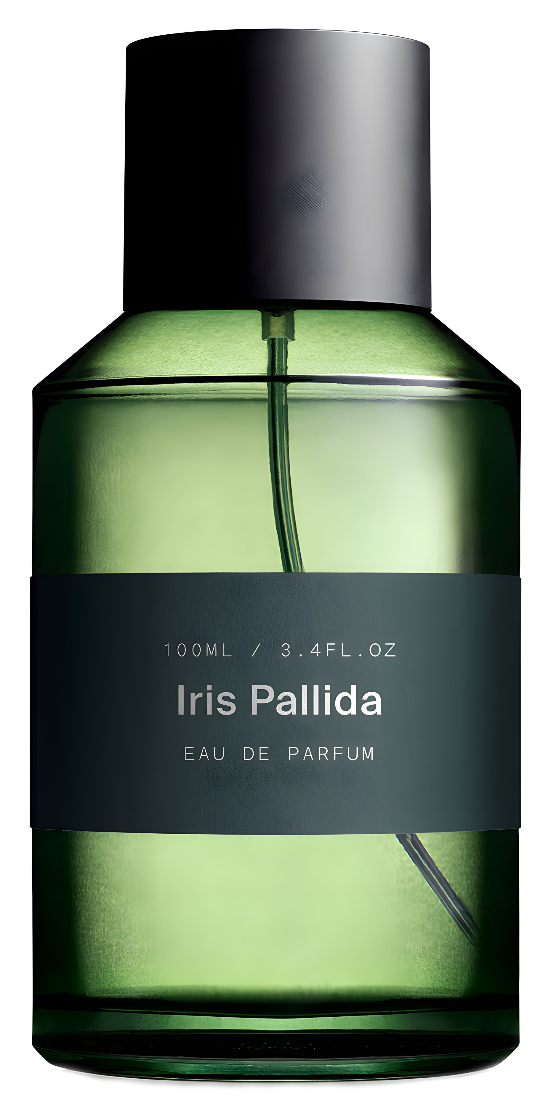 Picture of Iris Pallida fragrance