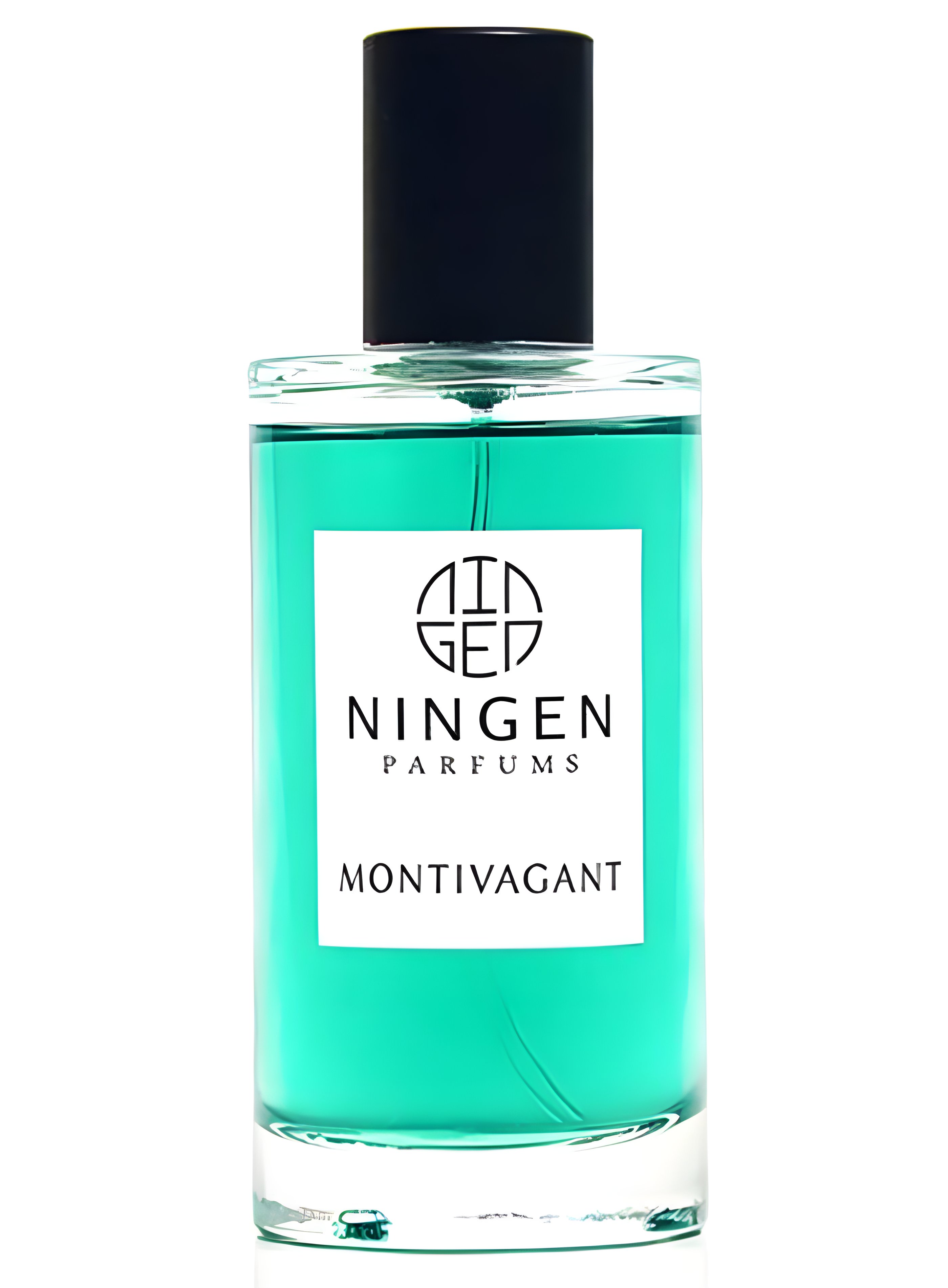 Picture of Montivagant fragrance