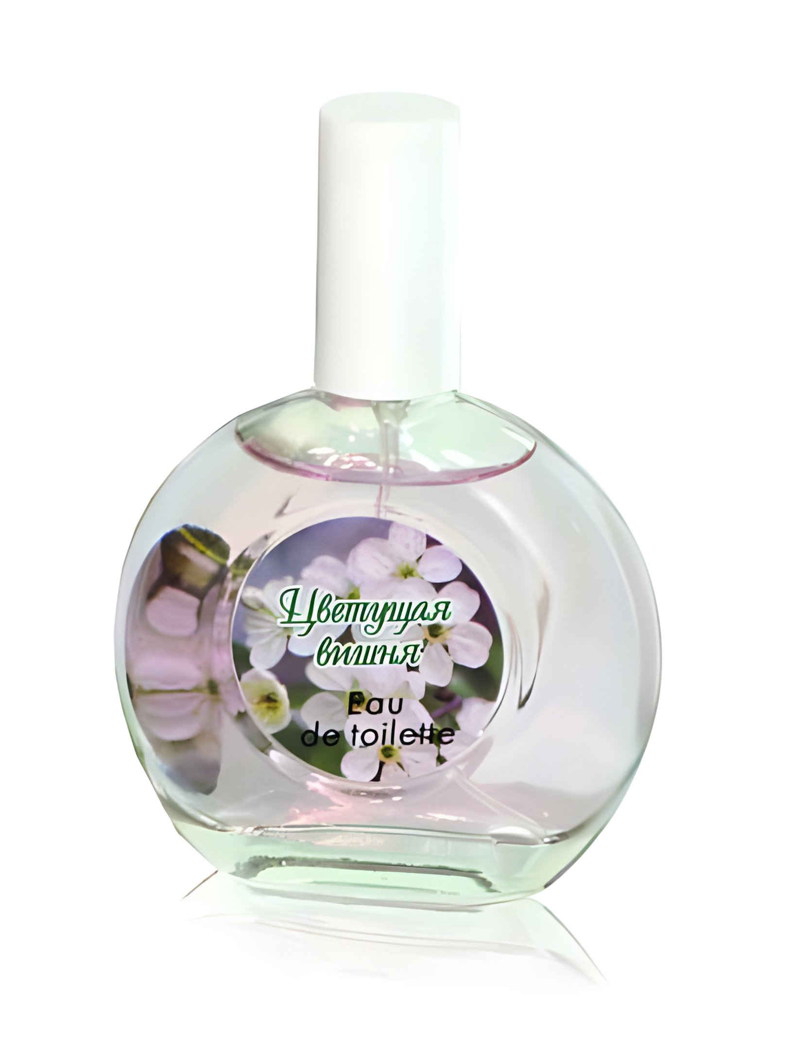 Picture of Cherry Blossom fragrance