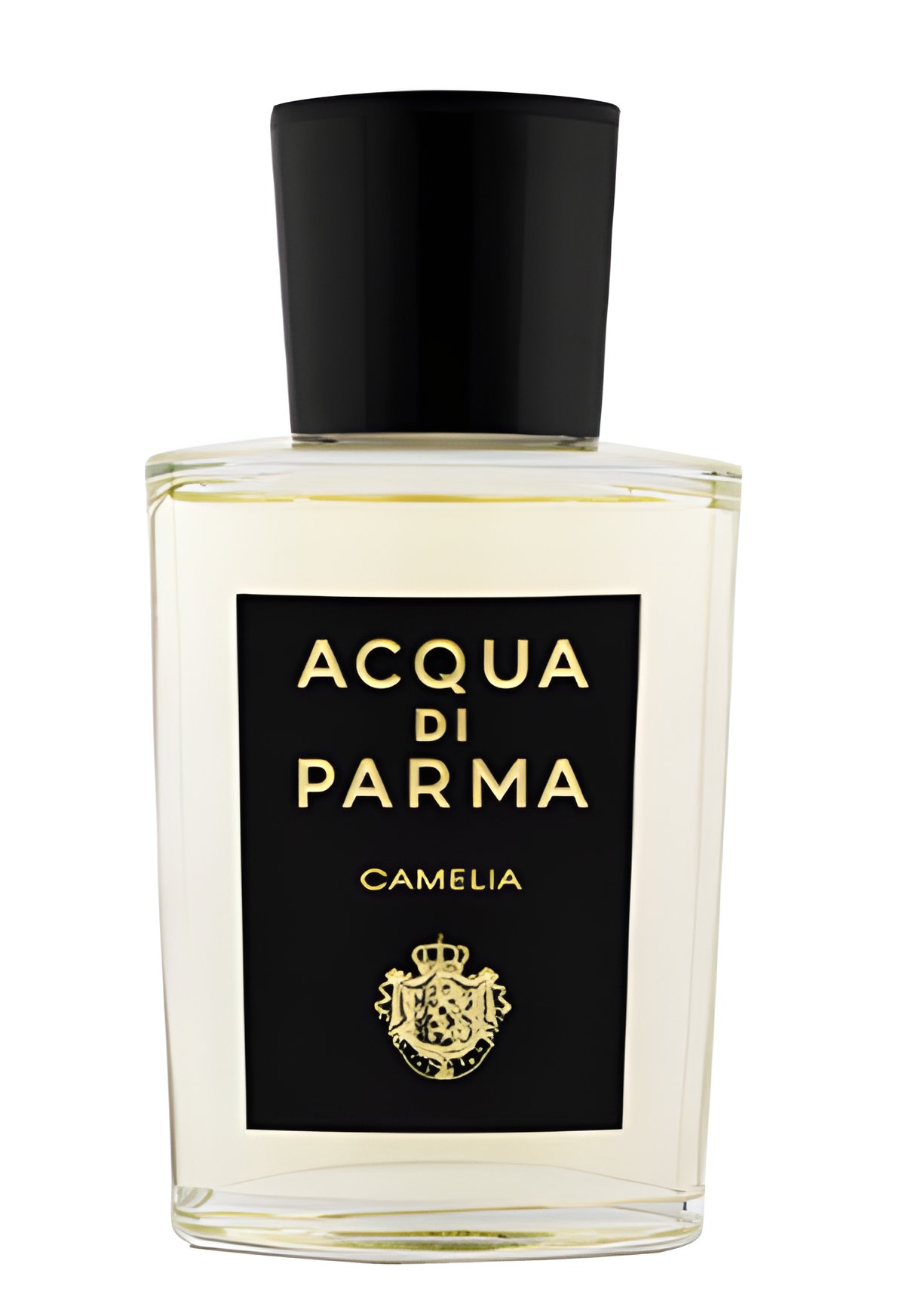 Picture of Camelia Eau de Parfum fragrance