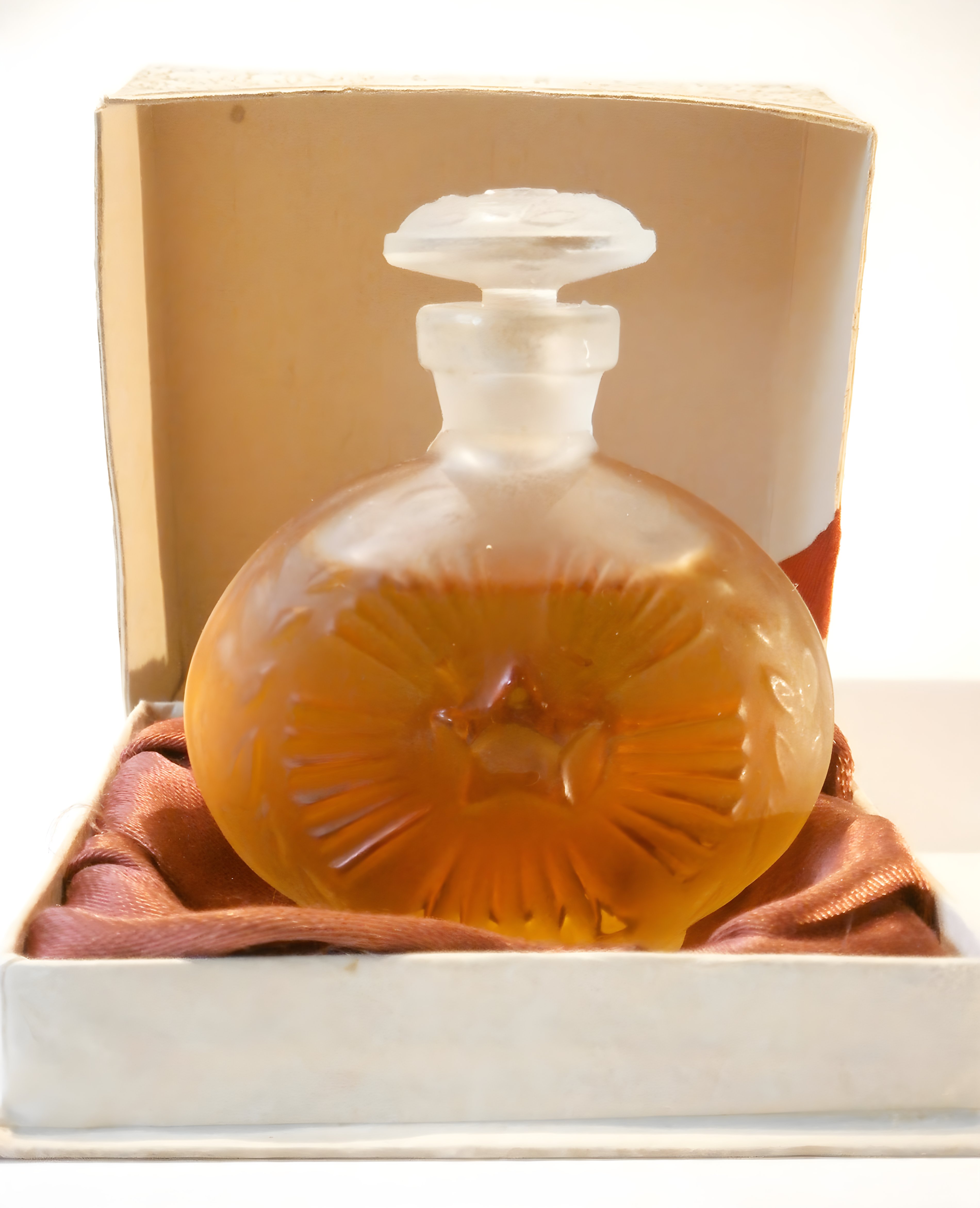 Picture of Любимая Столица (Beloved Capital) fragrance