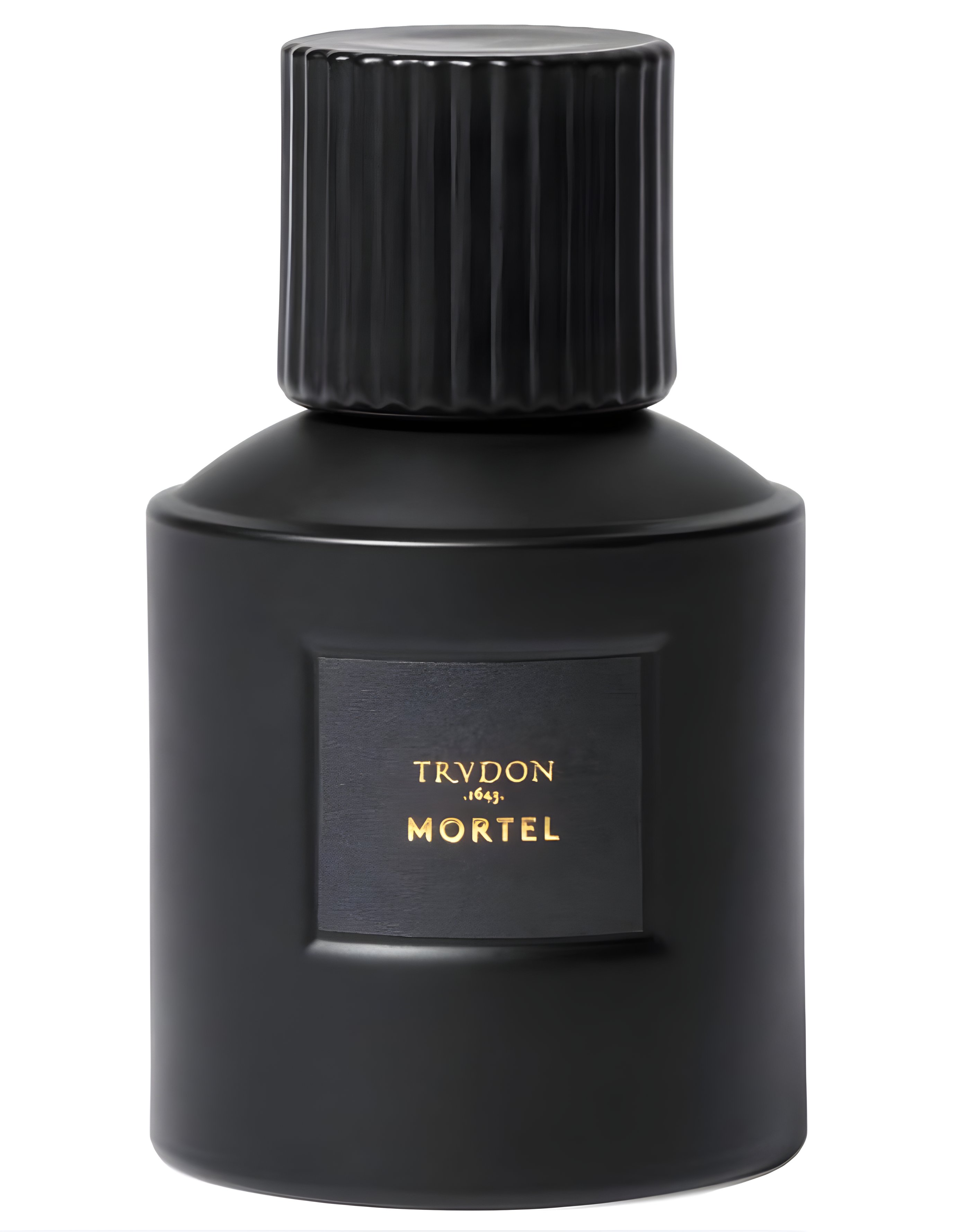 Picture of Mortel Noir fragrance