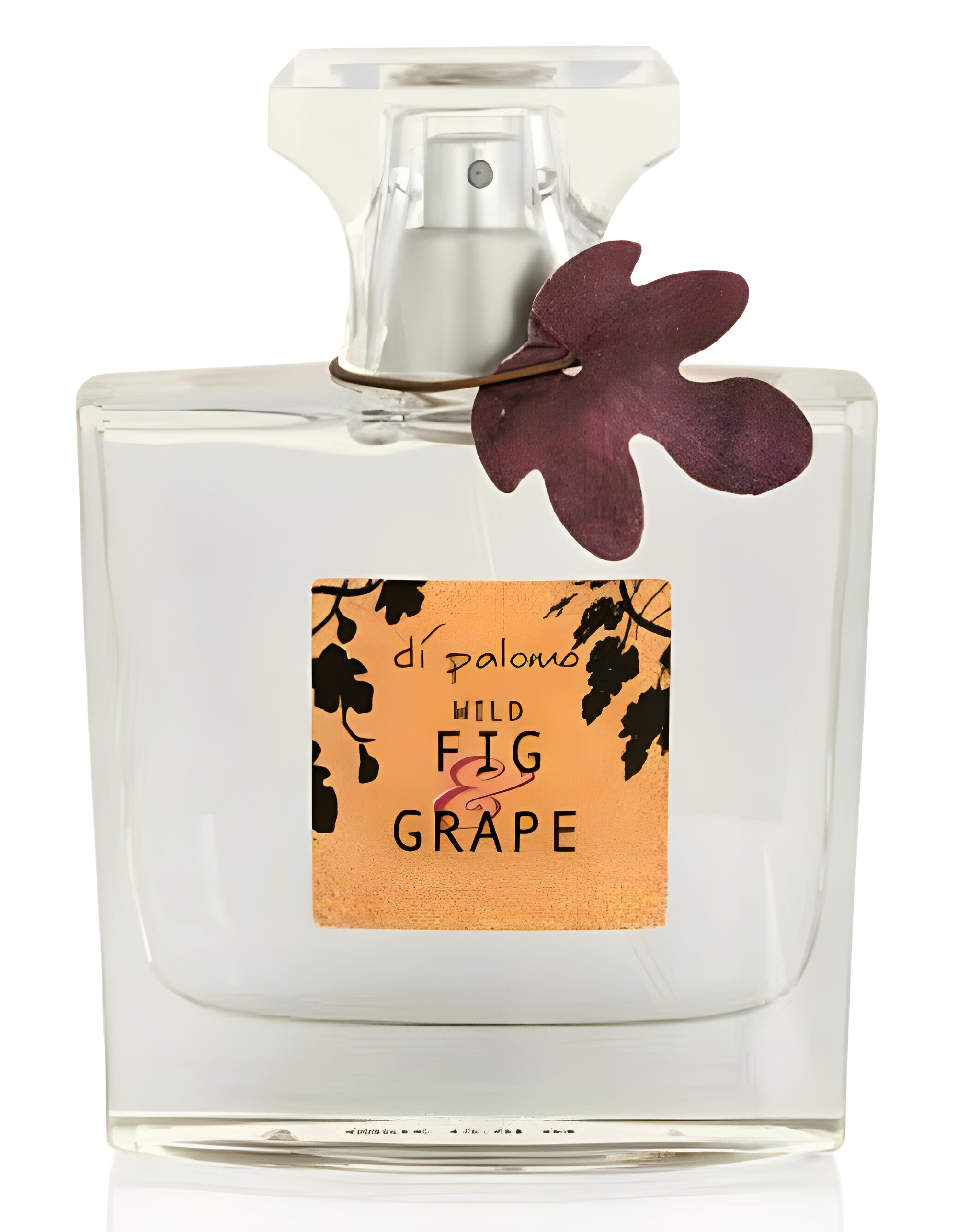 Picture of Wild Fig & Grape fragrance