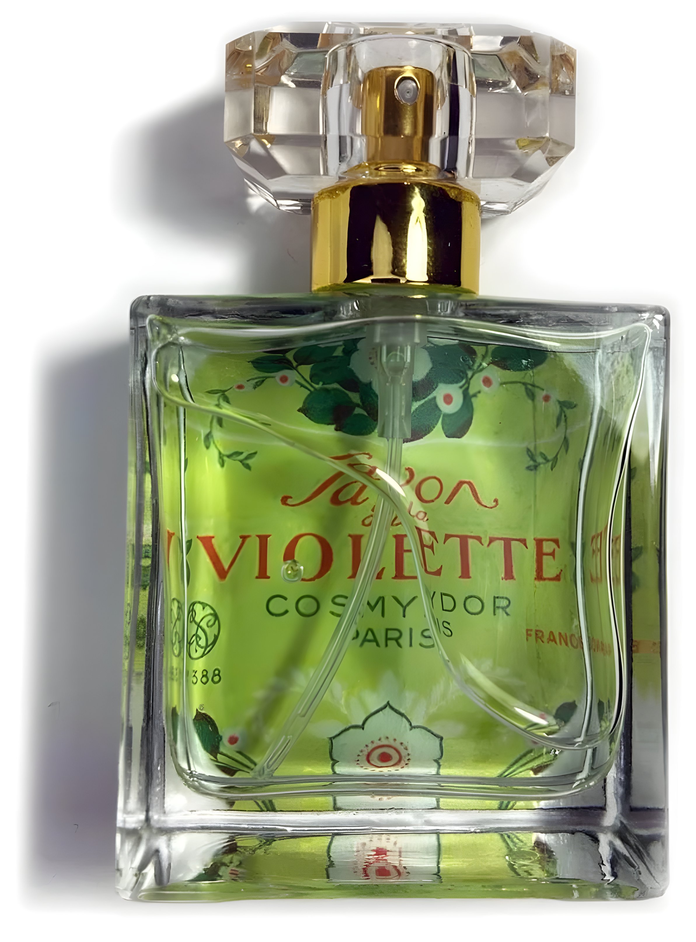 Picture of Winter Melon fragrance