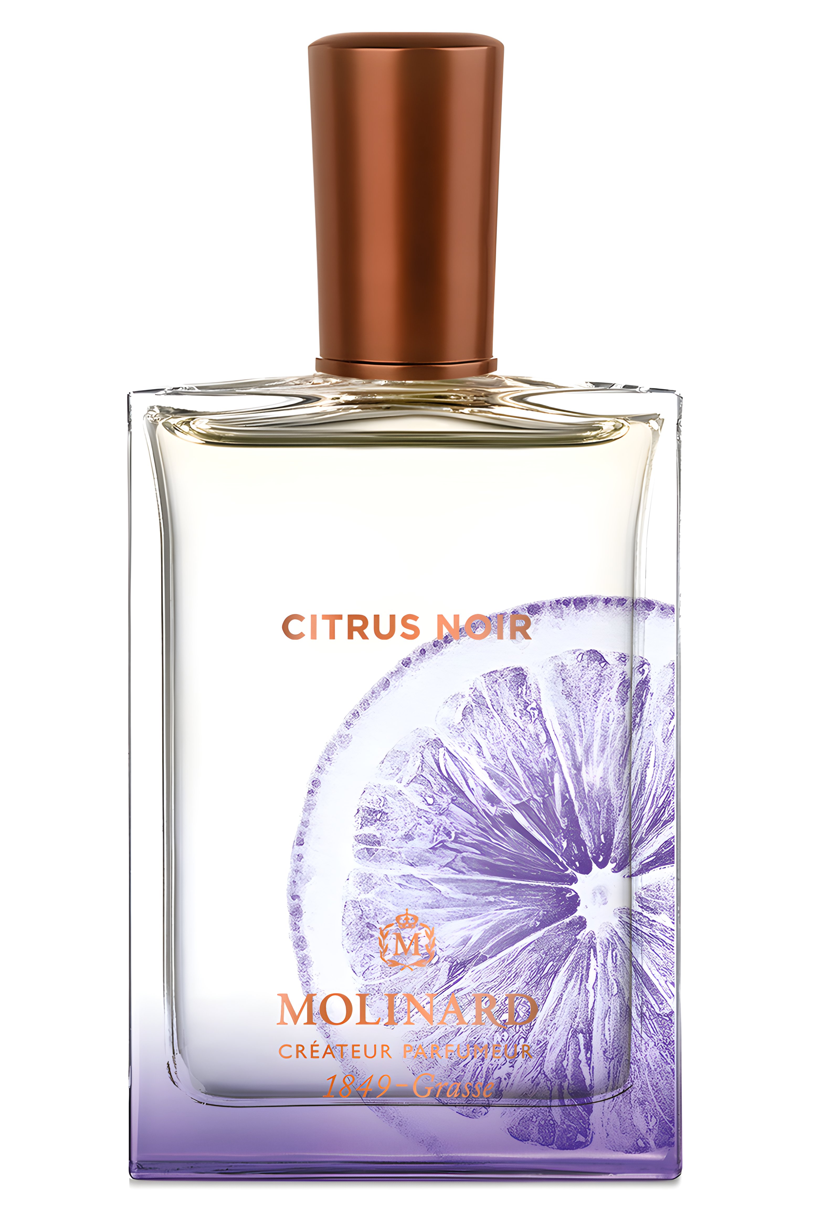 Picture of Citrus Noir fragrance