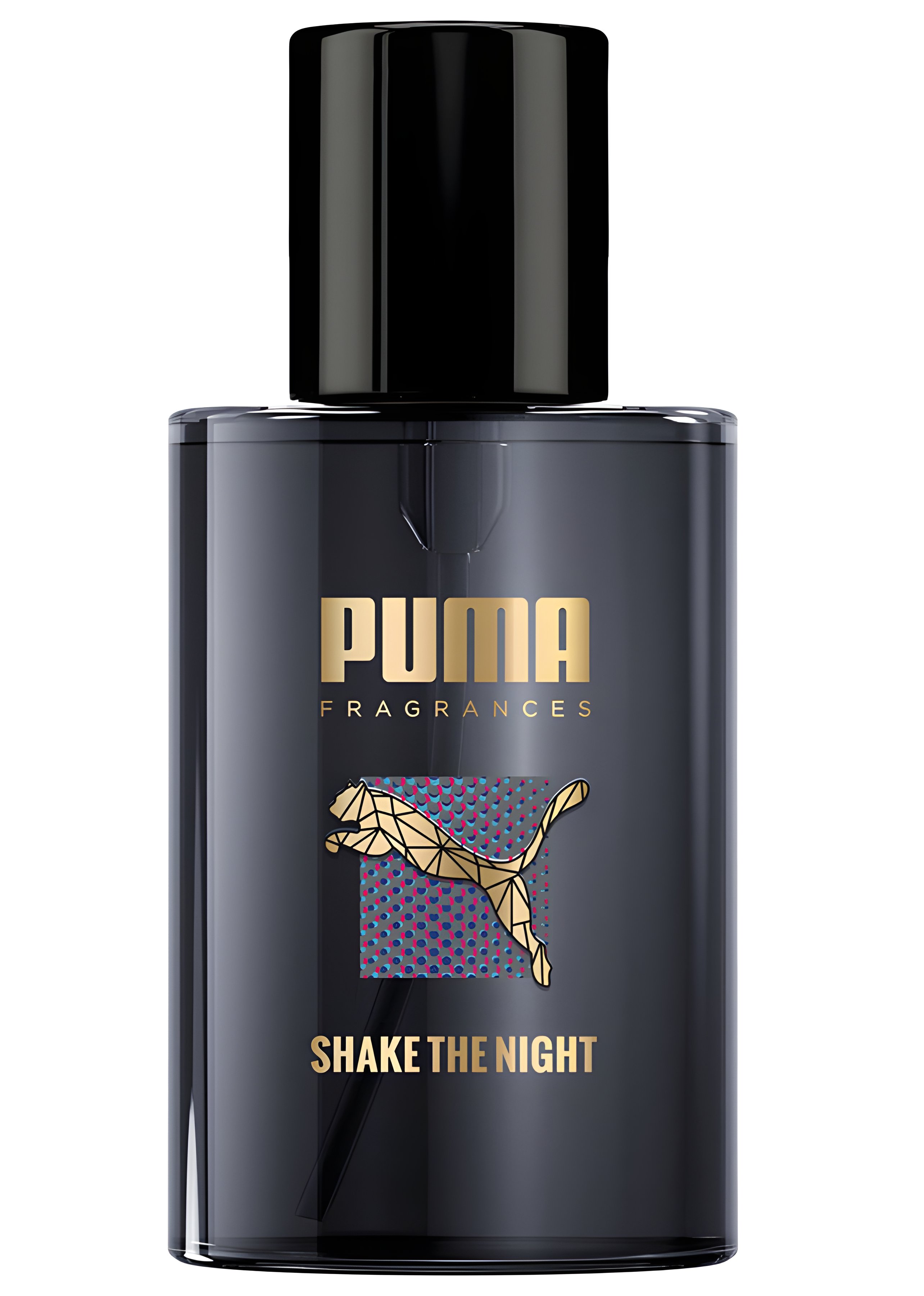 Picture of Shake the Night fragrance