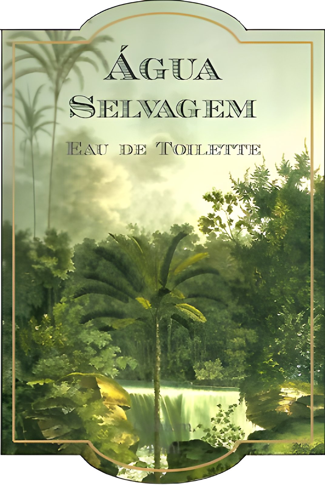 Picture of Agua Selvagem fragrance