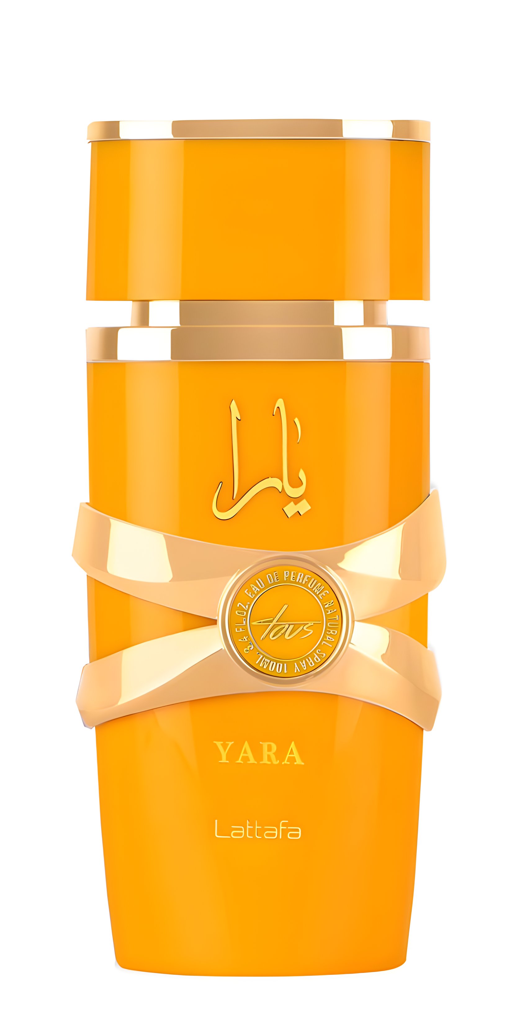 Picture of Yara Tous fragrance