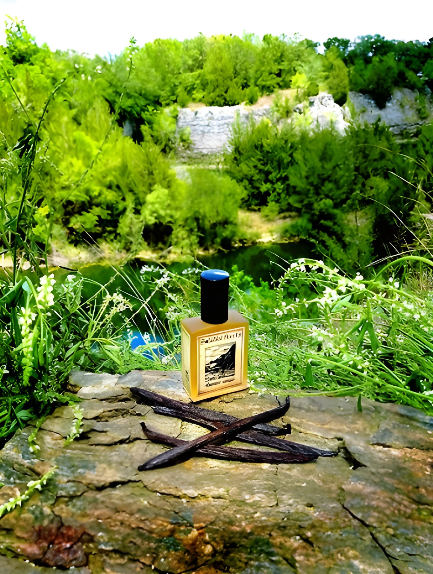 Picture of Mountain Vanilla fragrance