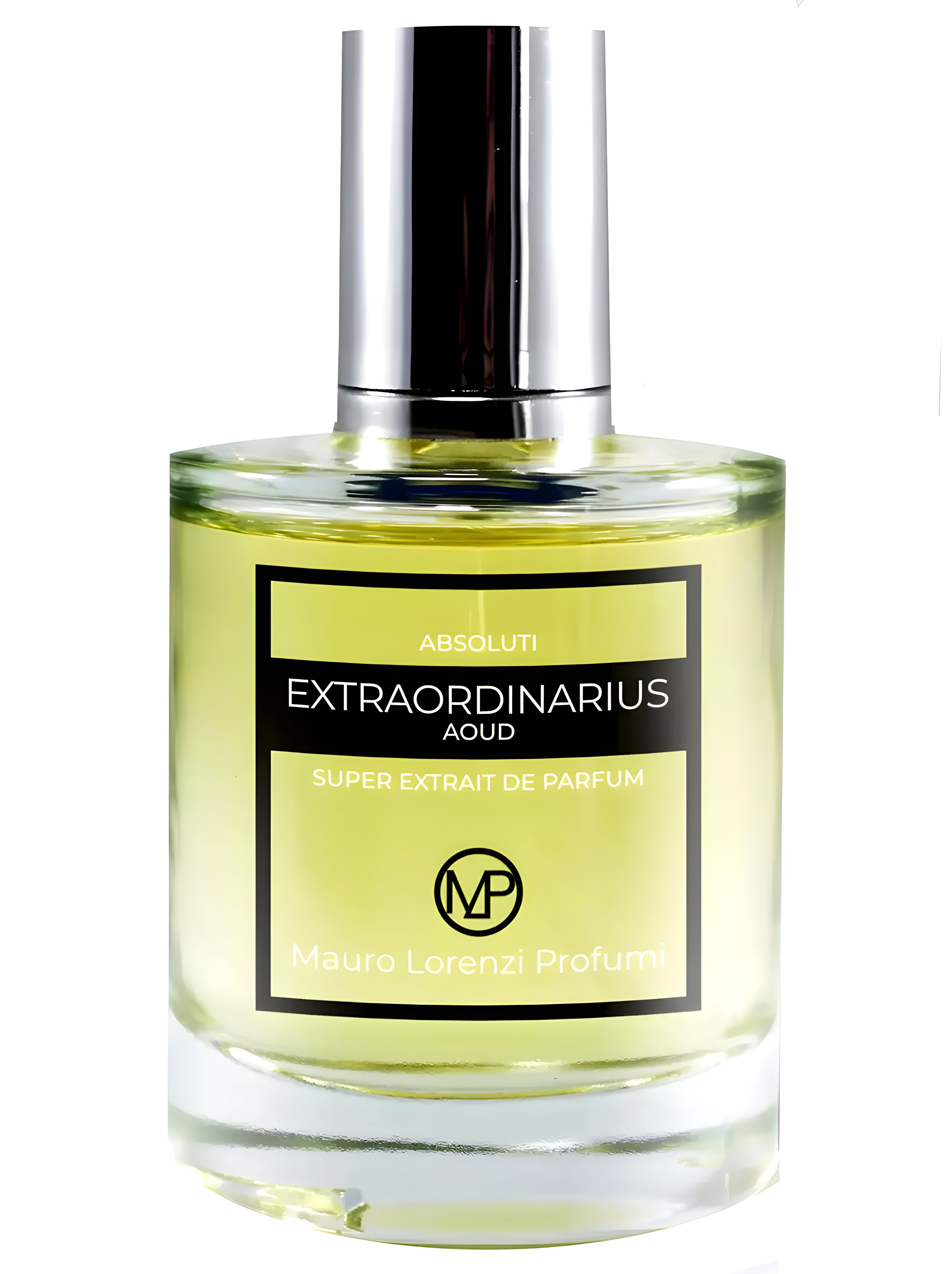 Picture of Extraordinarius Aoud fragrance