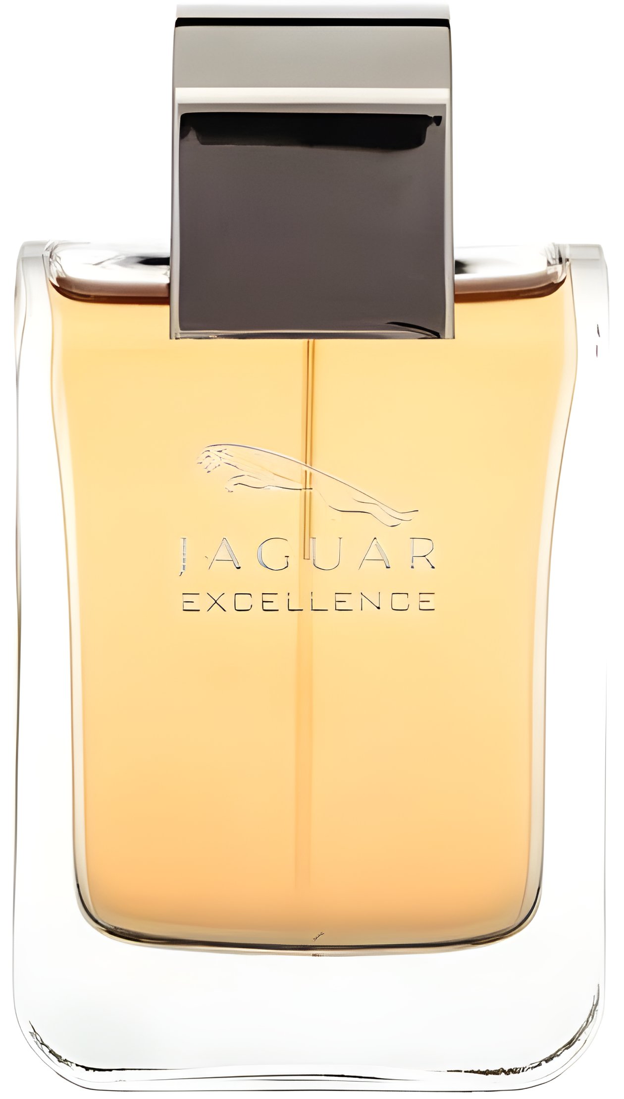 Picture of Jaguar Excellence fragrance