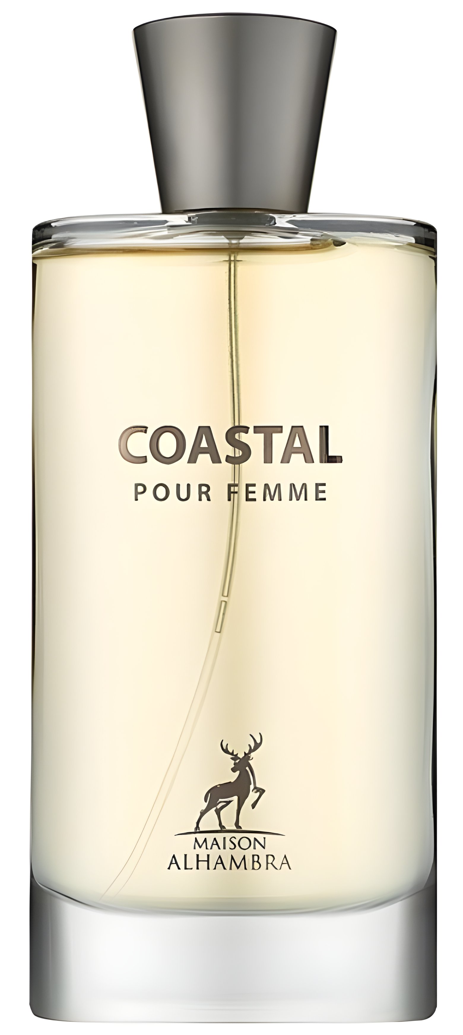 Picture of Coastal Pour Femme fragrance