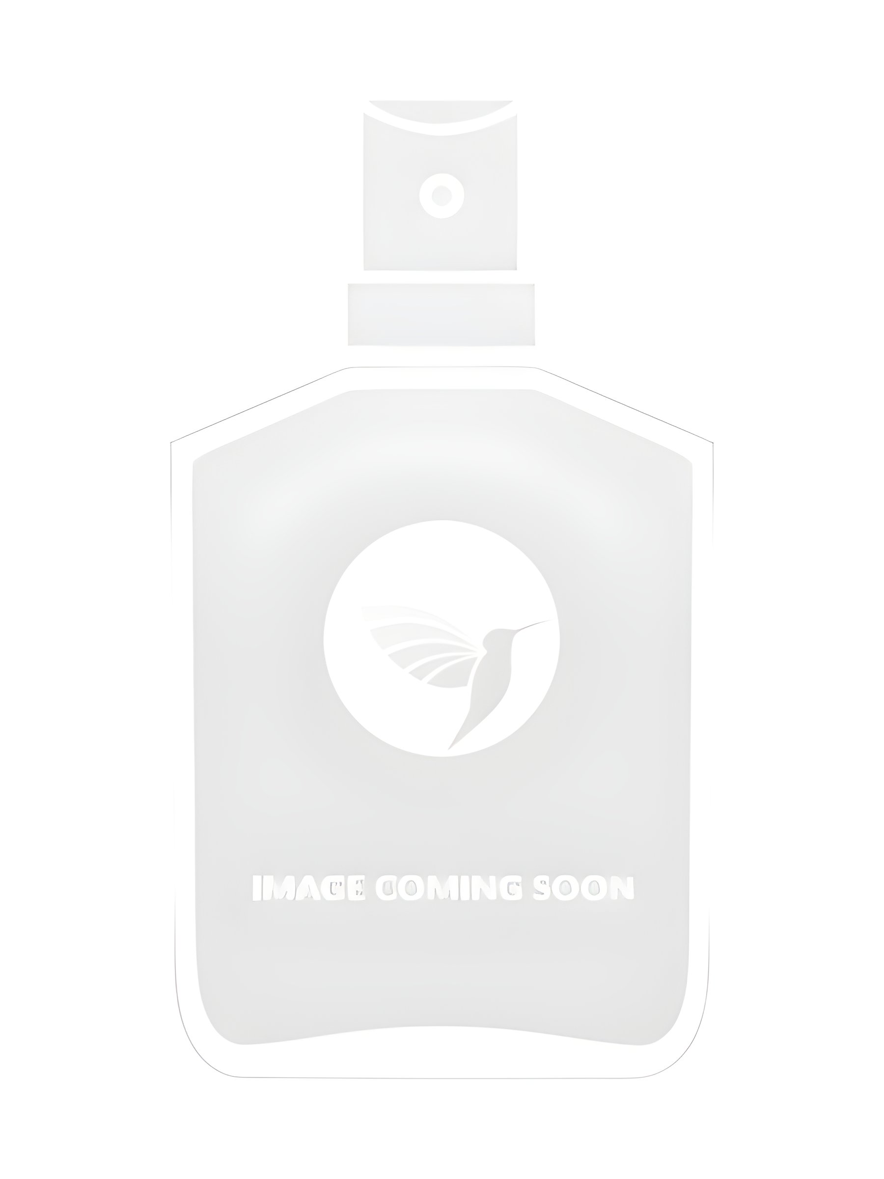 Picture of Indigo Magie fragrance