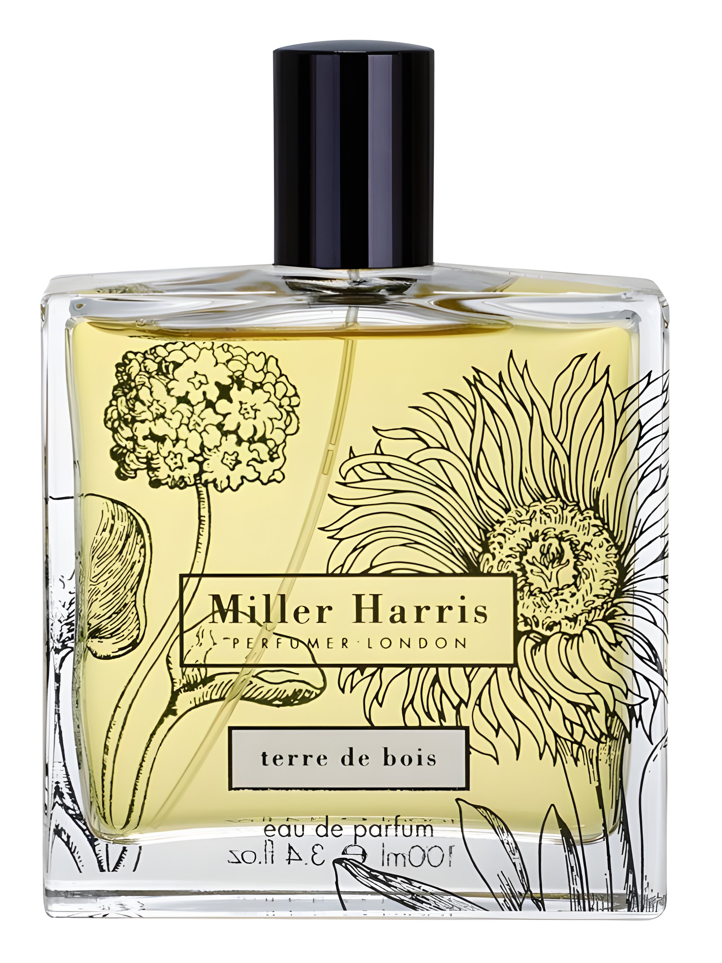 Picture of Terre de Bois fragrance