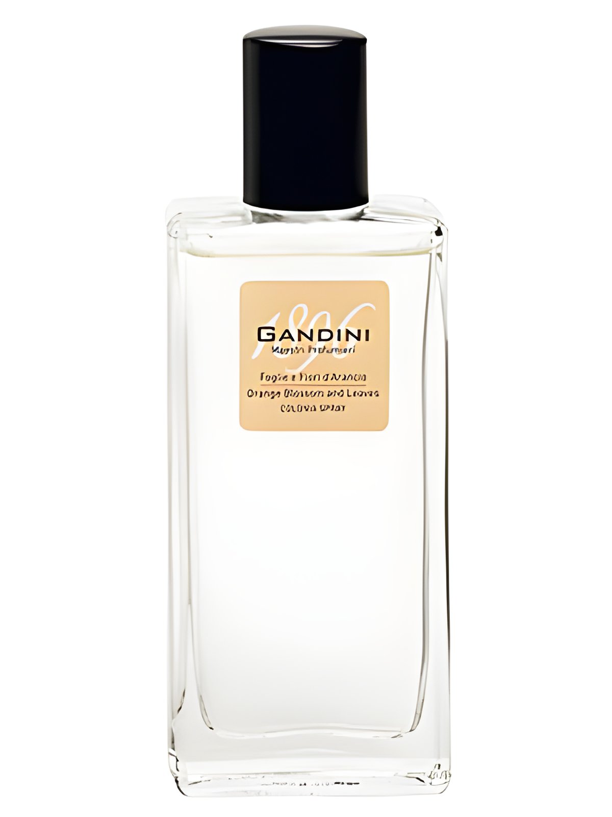 Picture of Orange Blossom and Leaf fragrance