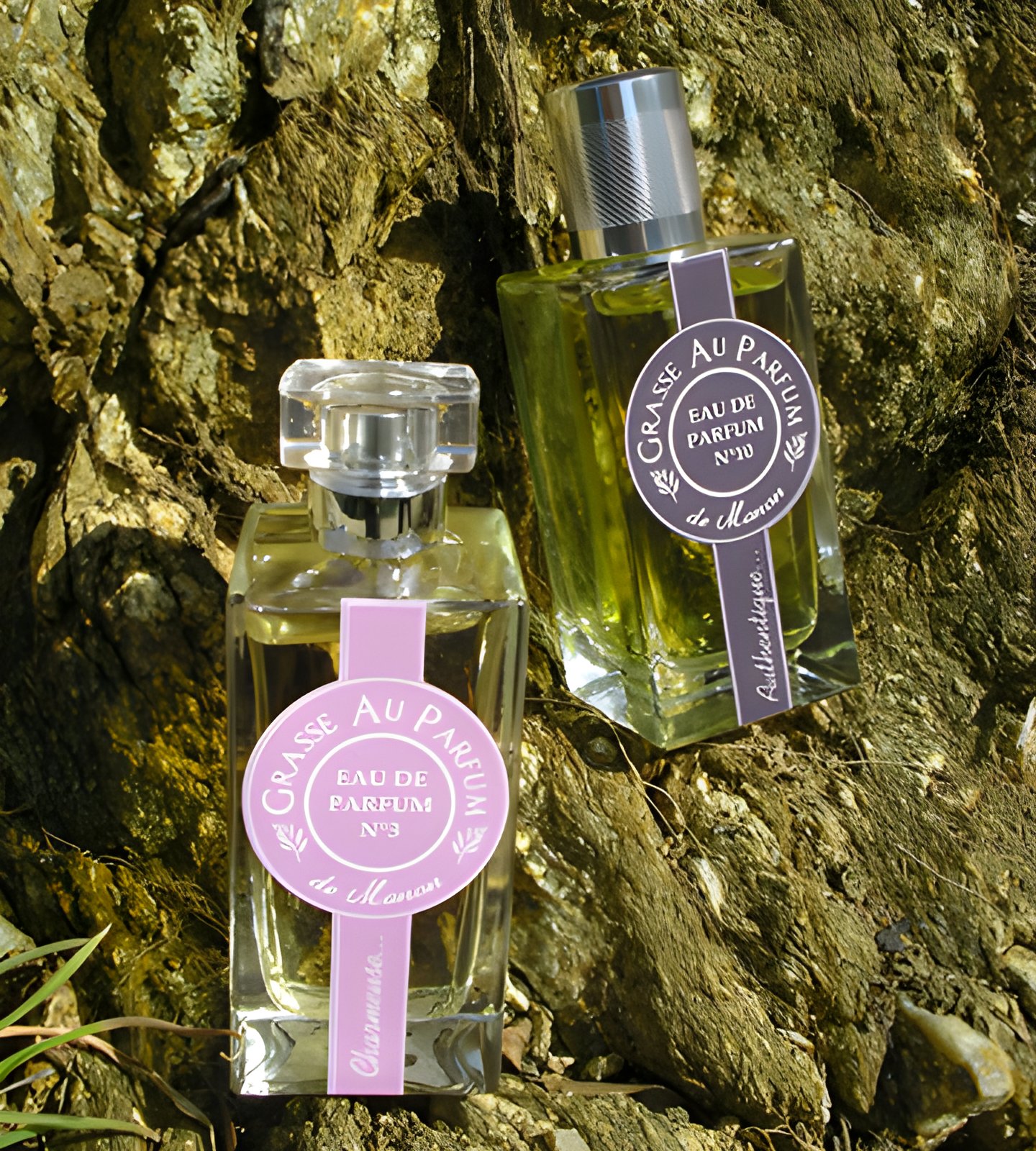 Picture of No 13 Passionnee fragrance