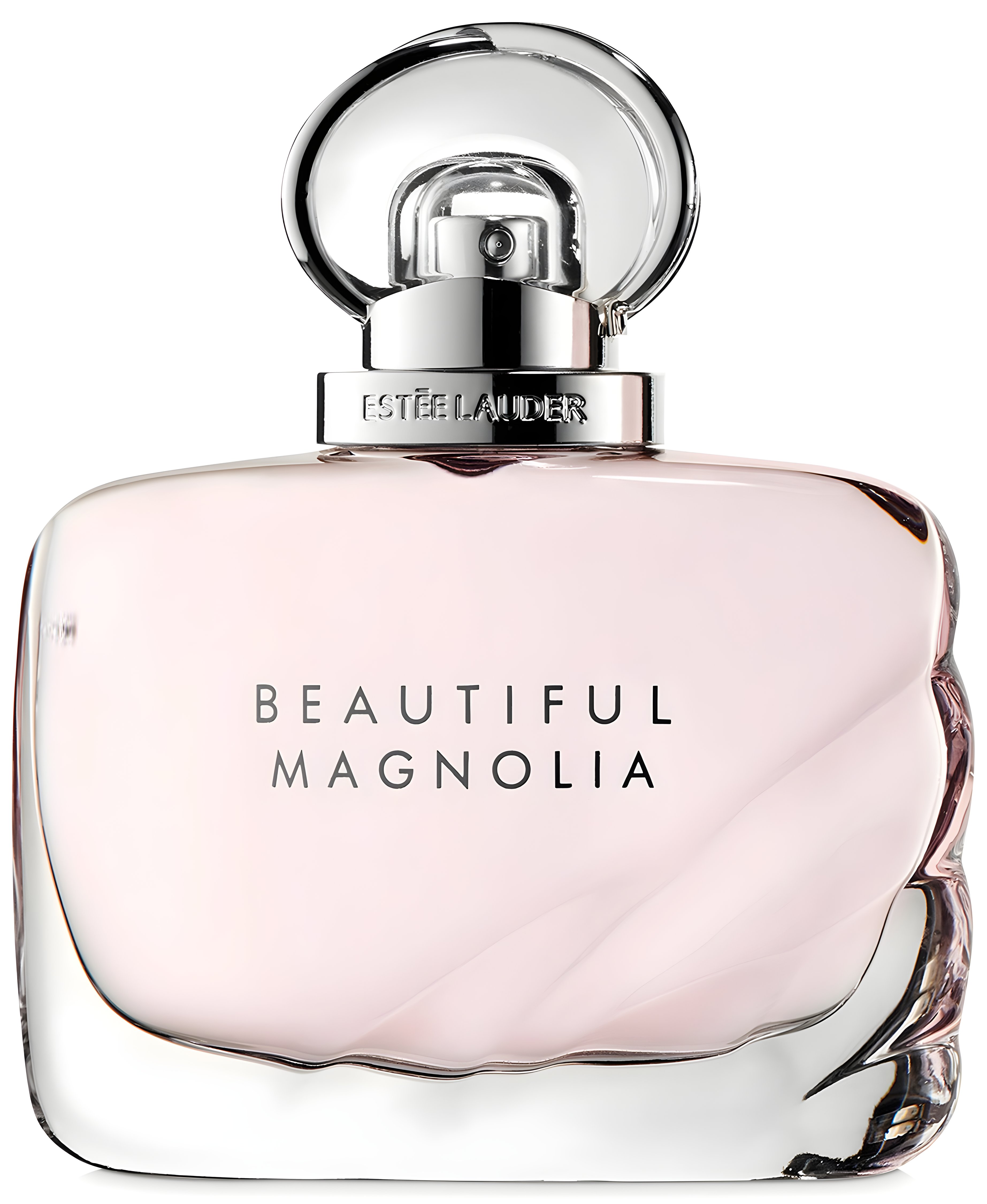 Picture of Beautiful Magnolia fragrance